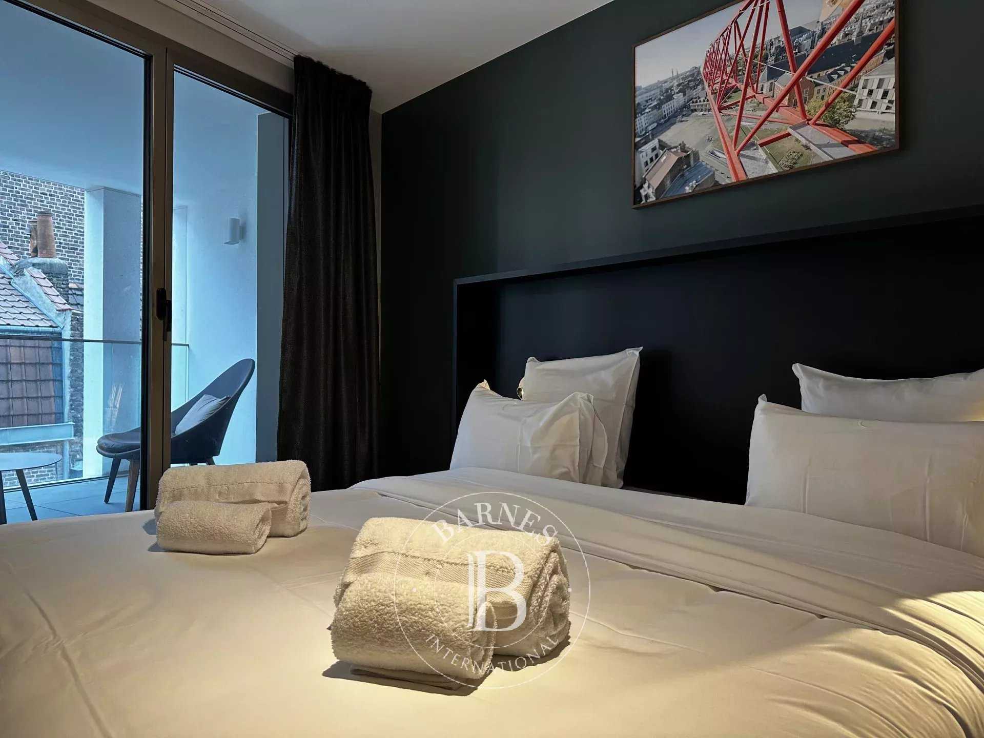 Lille  - Appartement 2 Pi&egrave;ces, 1 Chambre