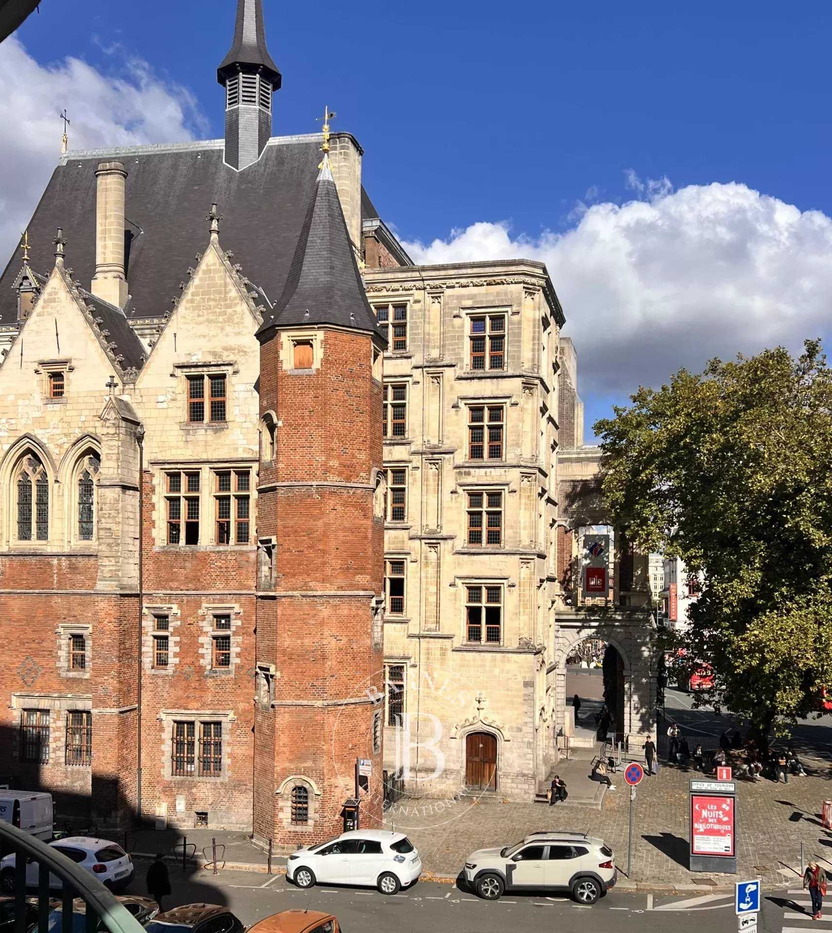 Appartement Lille  -  ref 84213337 (picture 3)