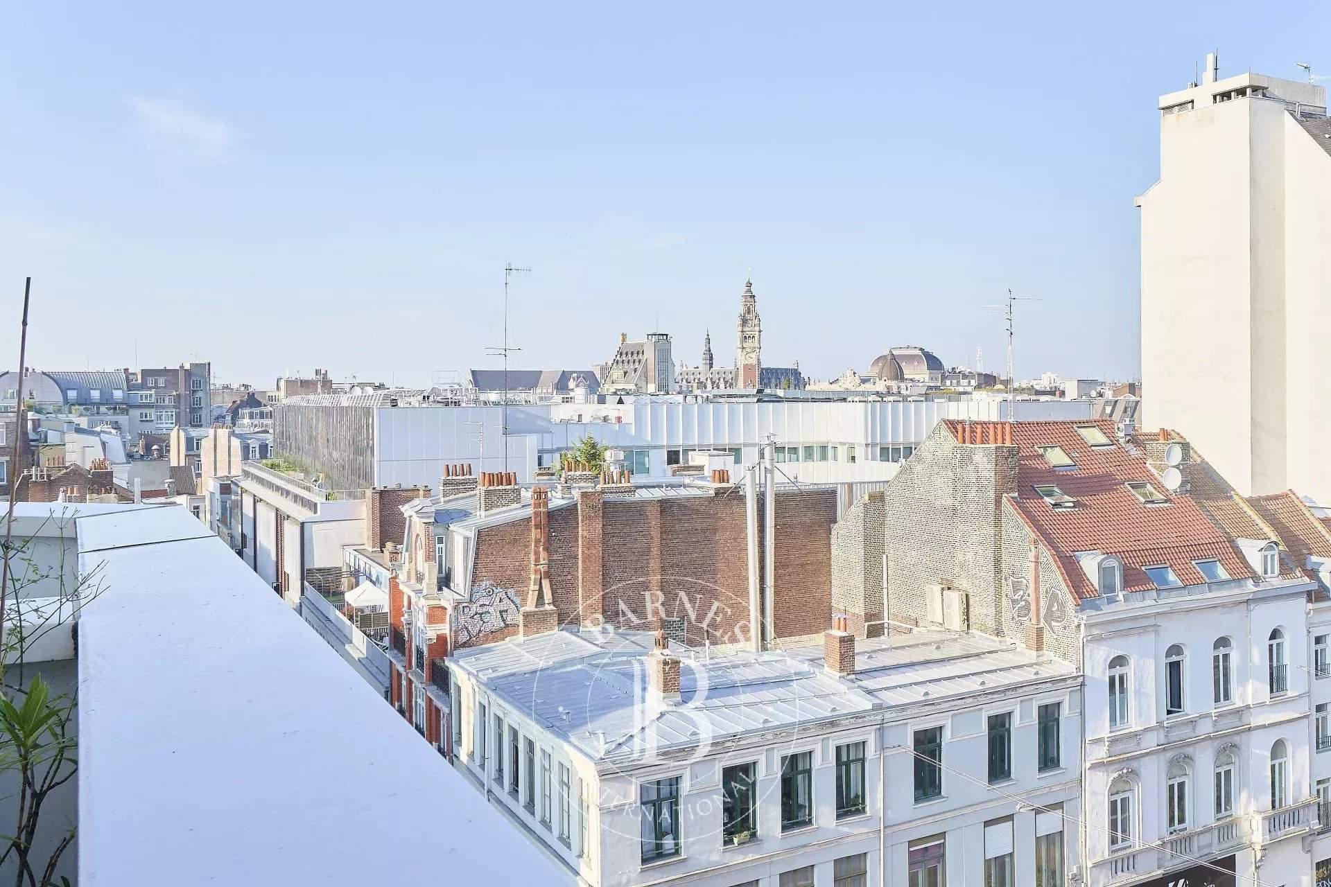 Lille  - Appartement 2 Pi&egrave;ces, 1 Chambre - picture 10