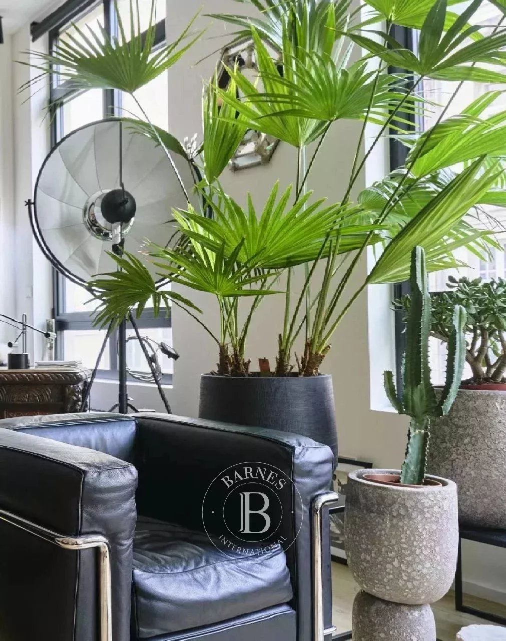 Lille  - Loft 1 Bedroom - picture 18