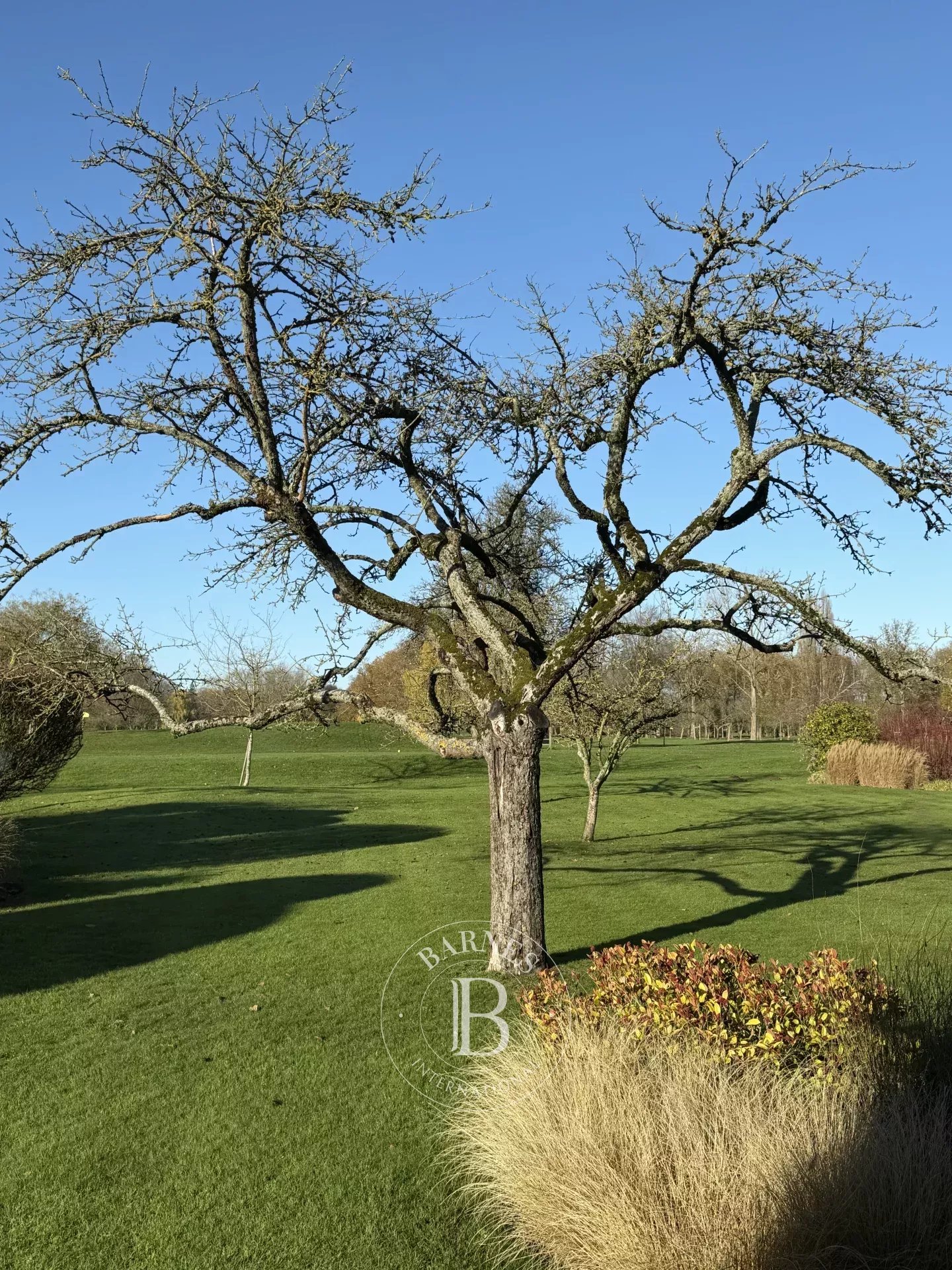 Villeneuve-d'Ascq  - House 4 Bedrooms - picture 11