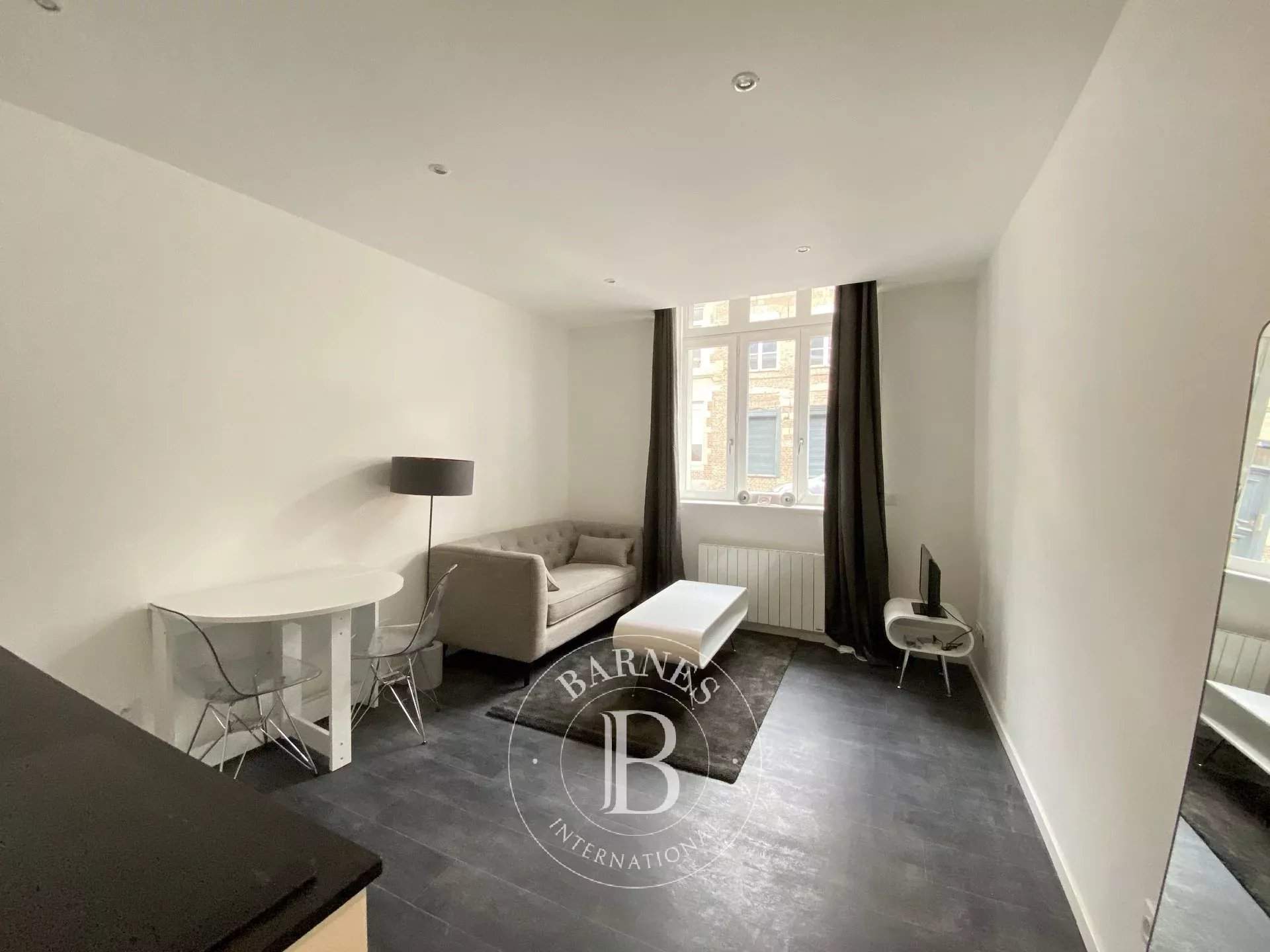 Lille  - Appartement 2 Pi&egrave;ces, 1 Chambre - picture 2