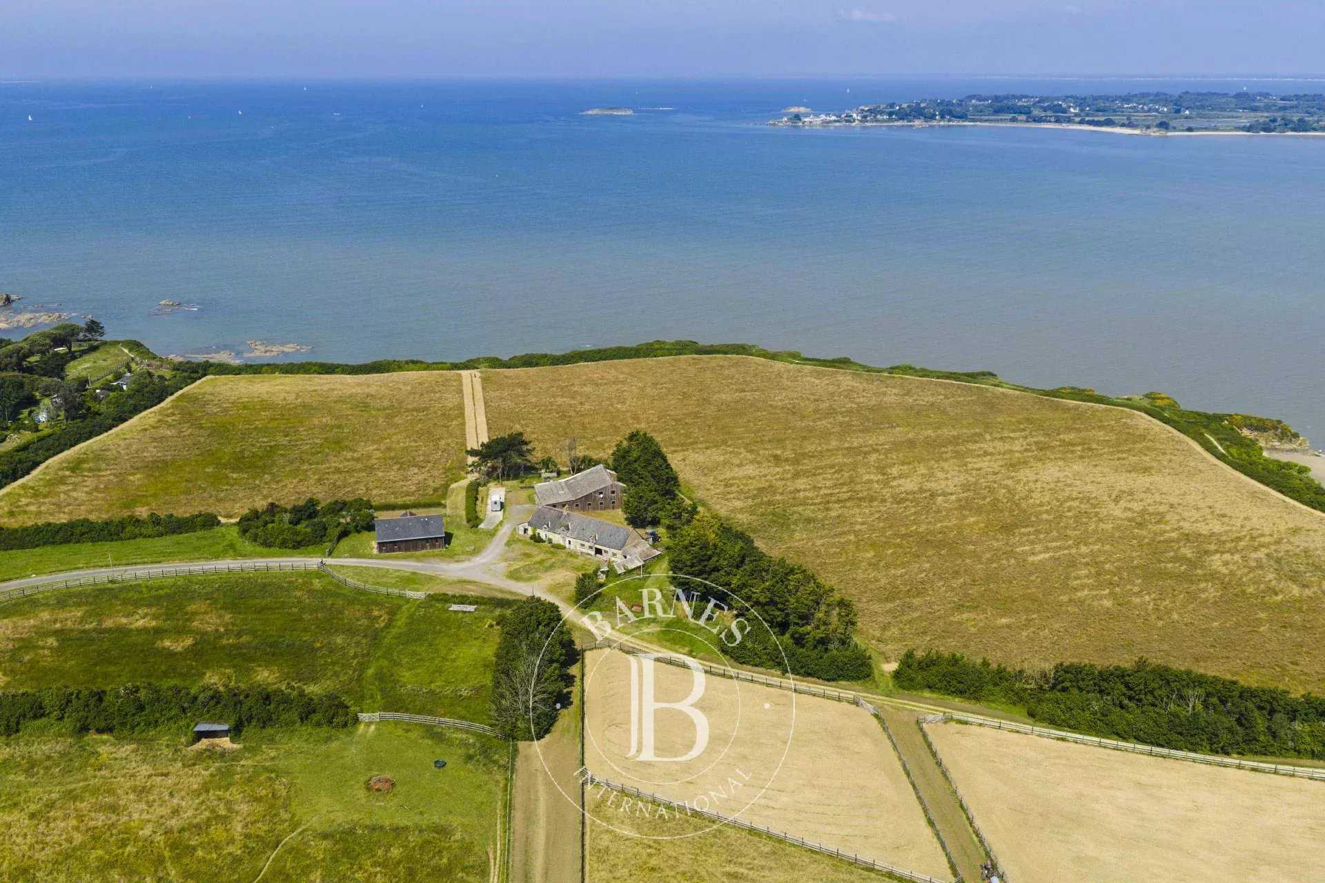 La Baule-Escoublac  - Stud farm 