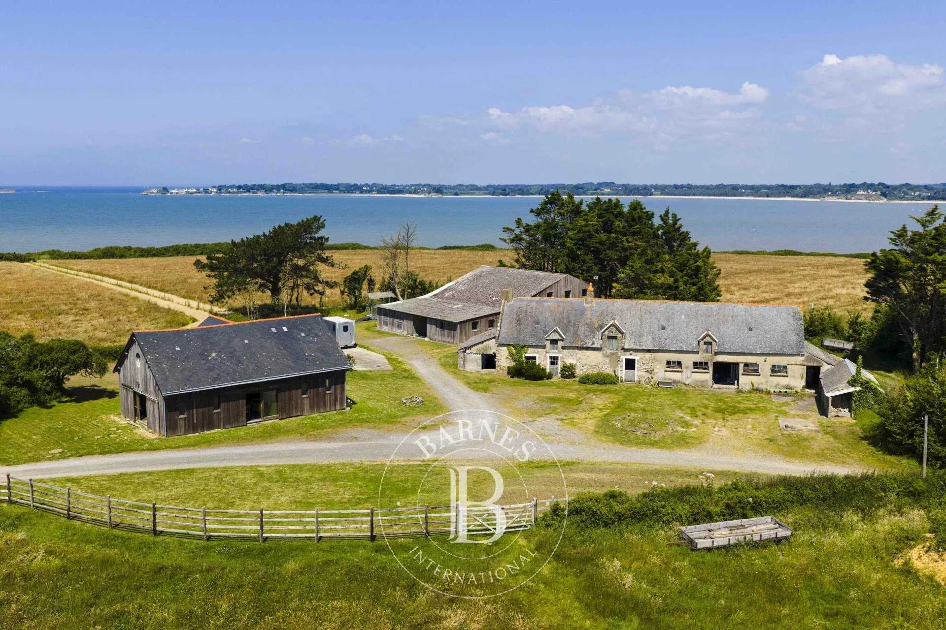 La Baule-Escoublac  - Stud farm 