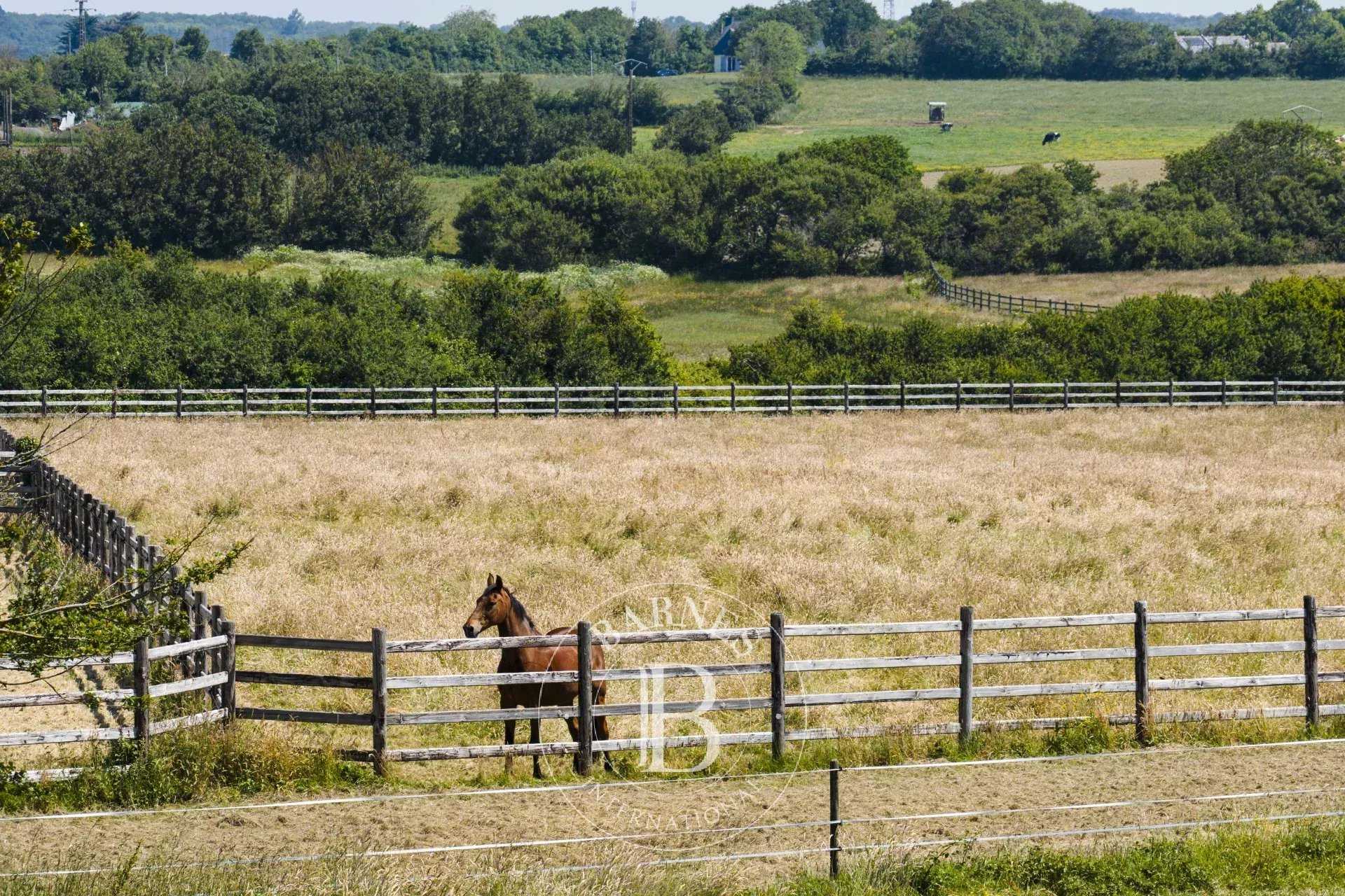 Stud farm La Baule-Escoublac  -  ref 86051124 (picture 3)