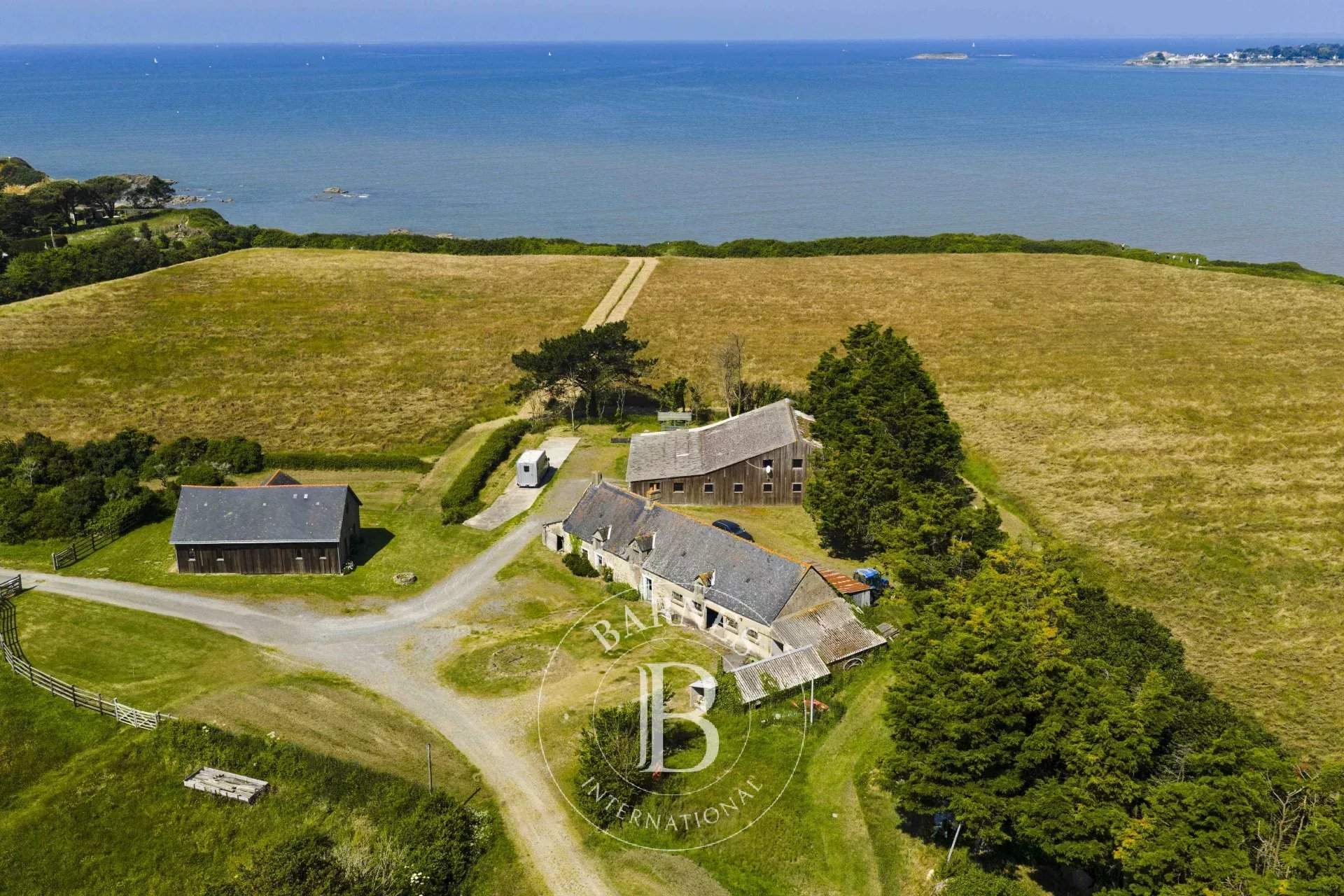 La Baule-Escoublac  - Stud farm  - picture 4