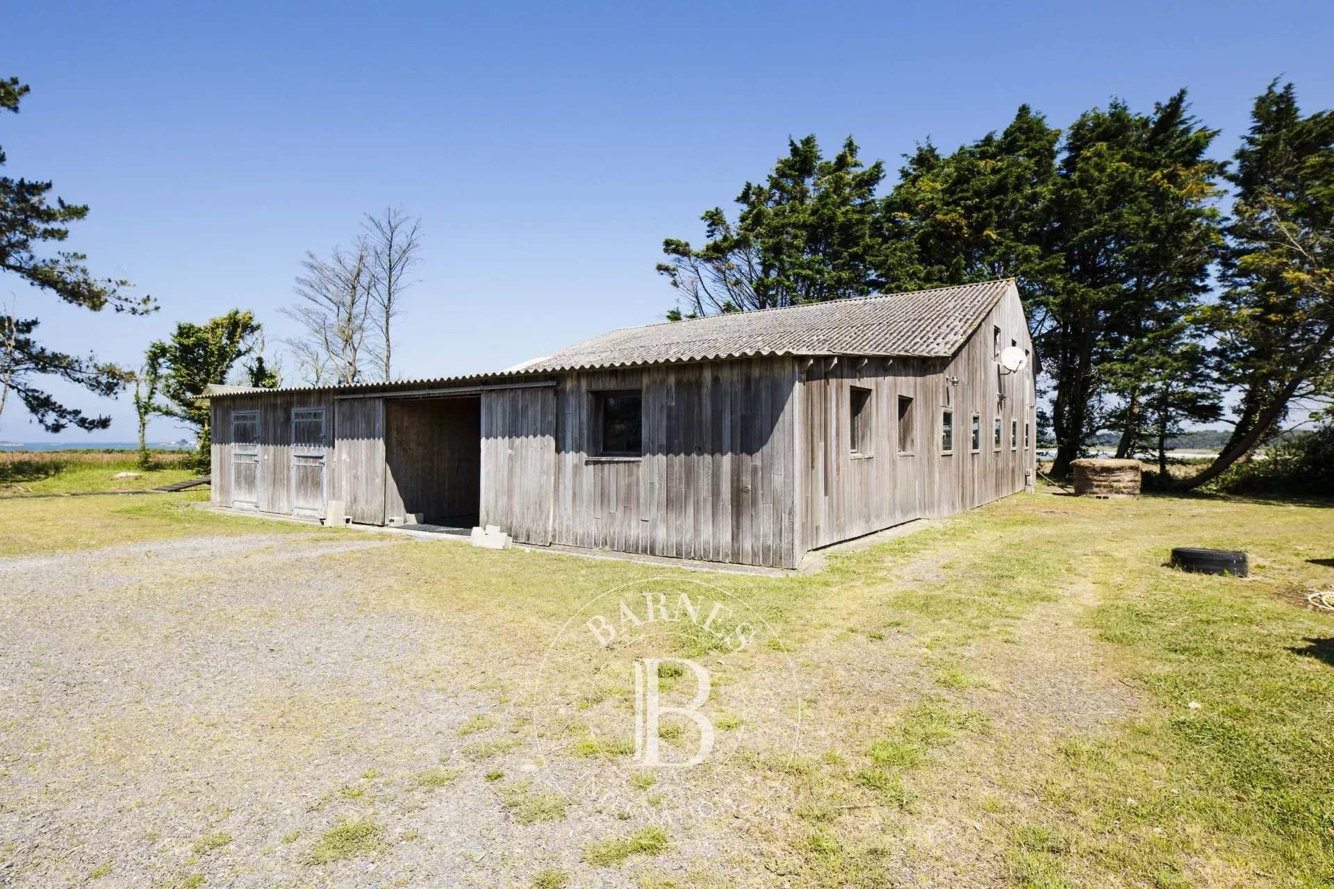 La Baule-Escoublac  - Stud farm  - picture 15