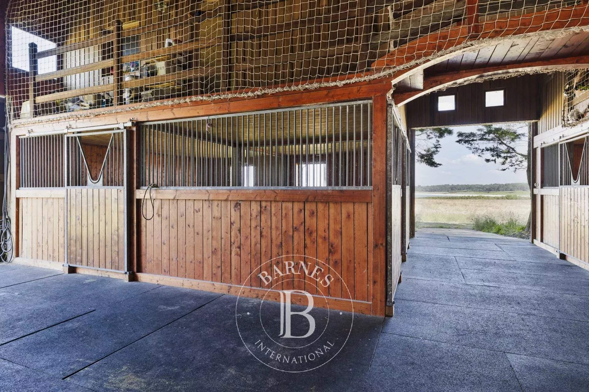 La Baule-Escoublac  - Stud farm  - picture 17