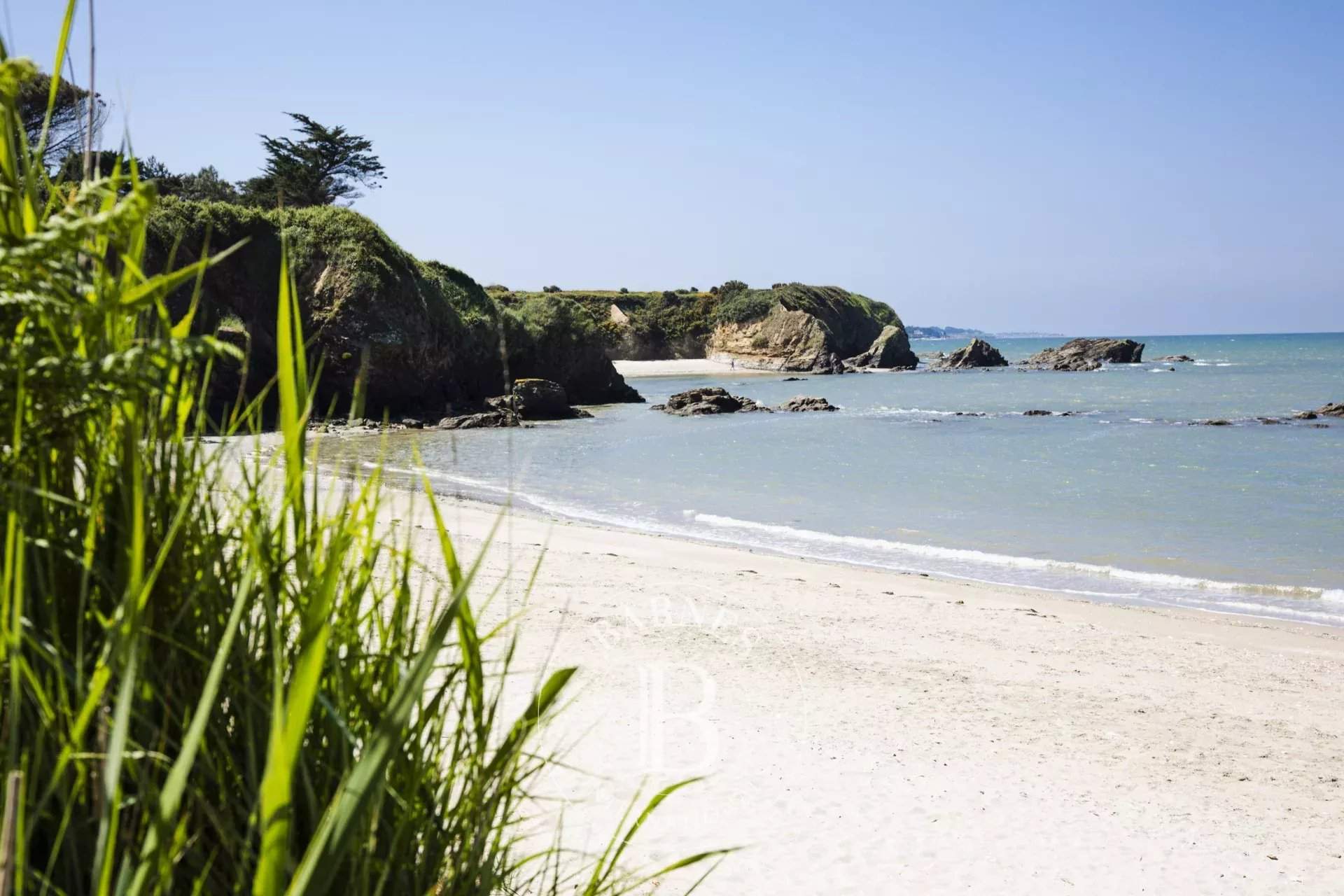 La Baule-Escoublac  - Stud farm  - picture 19