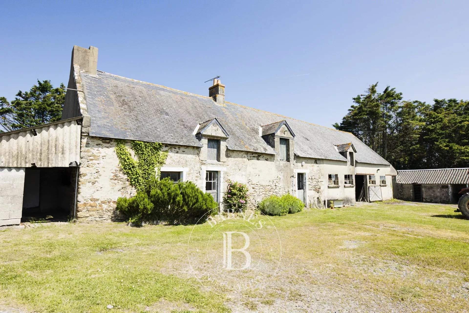 La Baule-Escoublac  - Stud farm  - picture 14