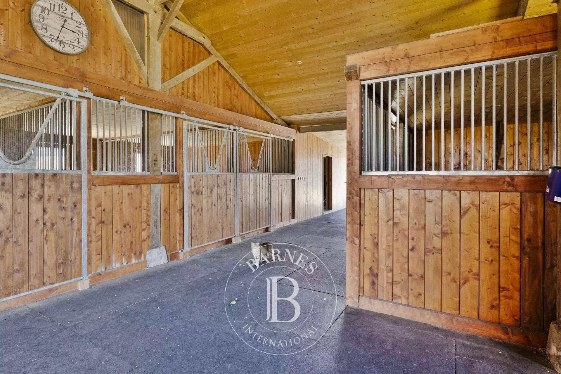 La Baule-Escoublac  - Stud farm  - picture 18