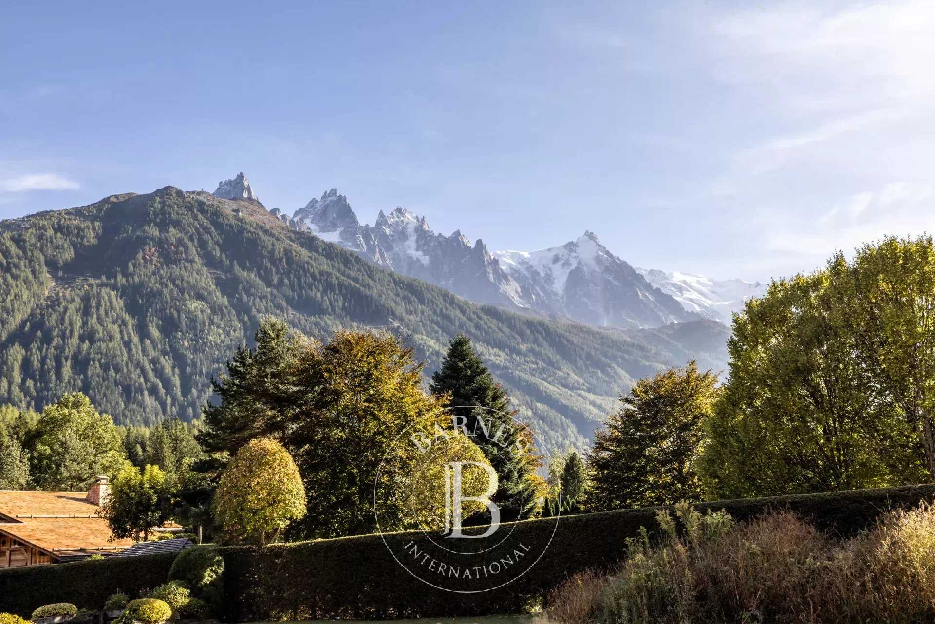 Chalet Chamonix-Mont-Blanc  -  ref 83201650 (picture 3)