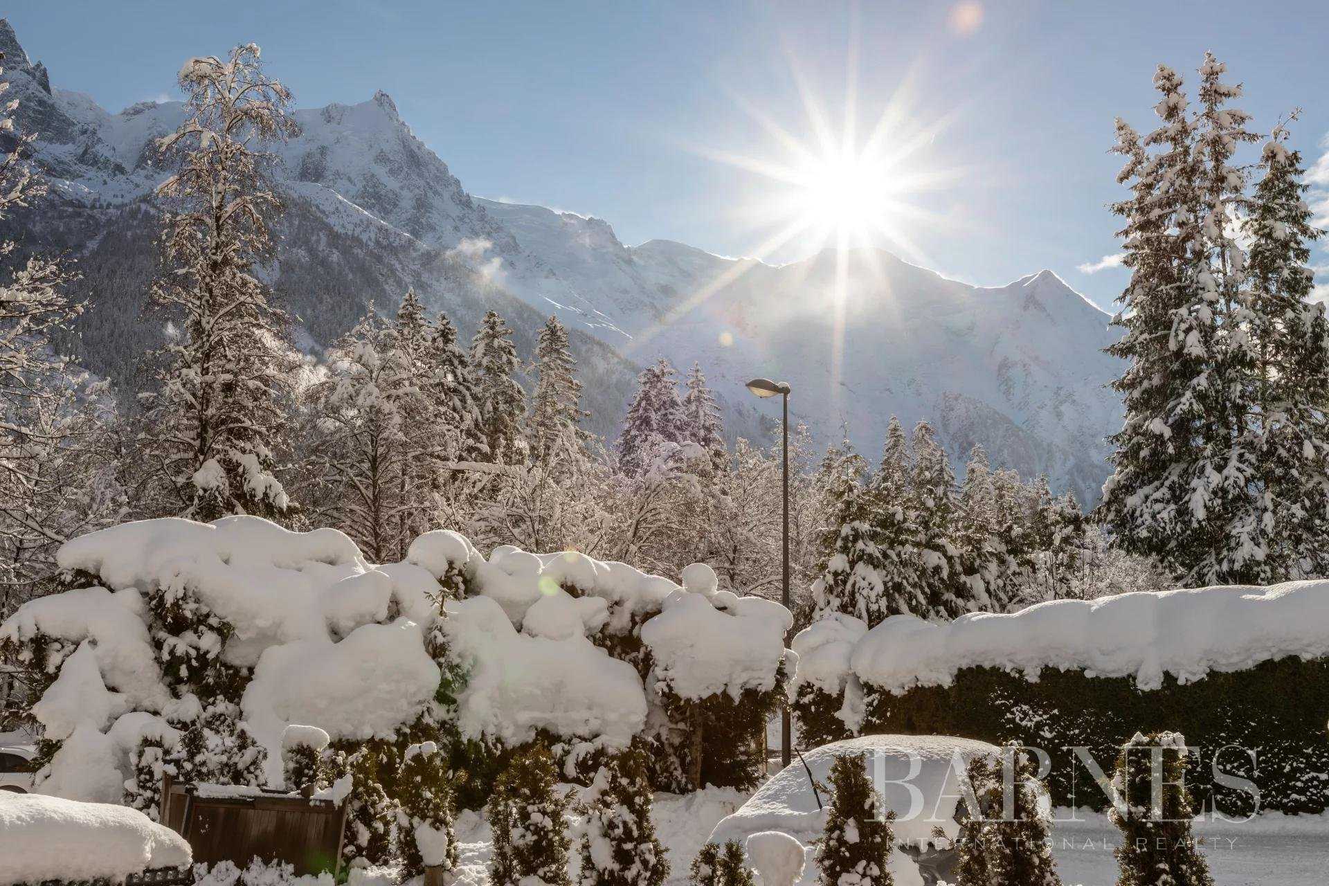Chalet Chamonix-Mont-Blanc  -  ref 6490304 (picture 3)