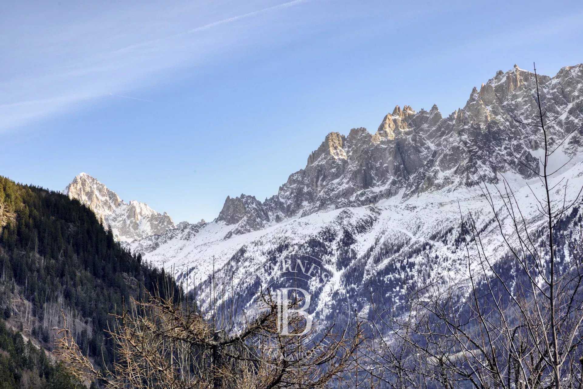 Chalet Les Houches  -  ref 86344049 (picture 3)