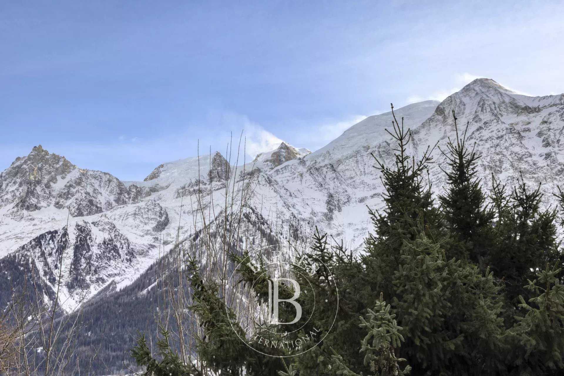 Chalet Les Houches  -  ref 86344049 (picture 2)