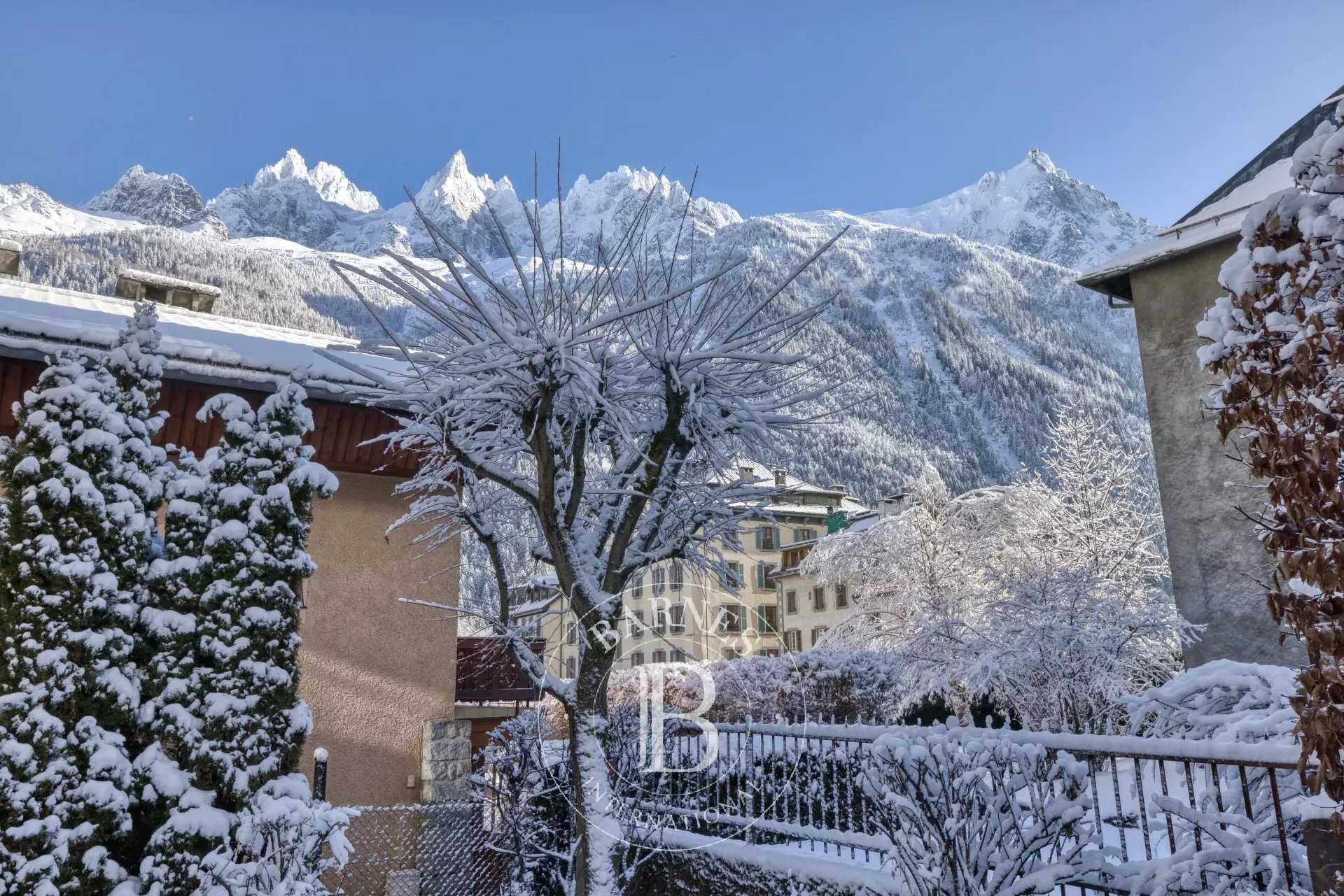 Appartement Chamonix-Mont-Blanc  -  ref 84040845 (picture 3)