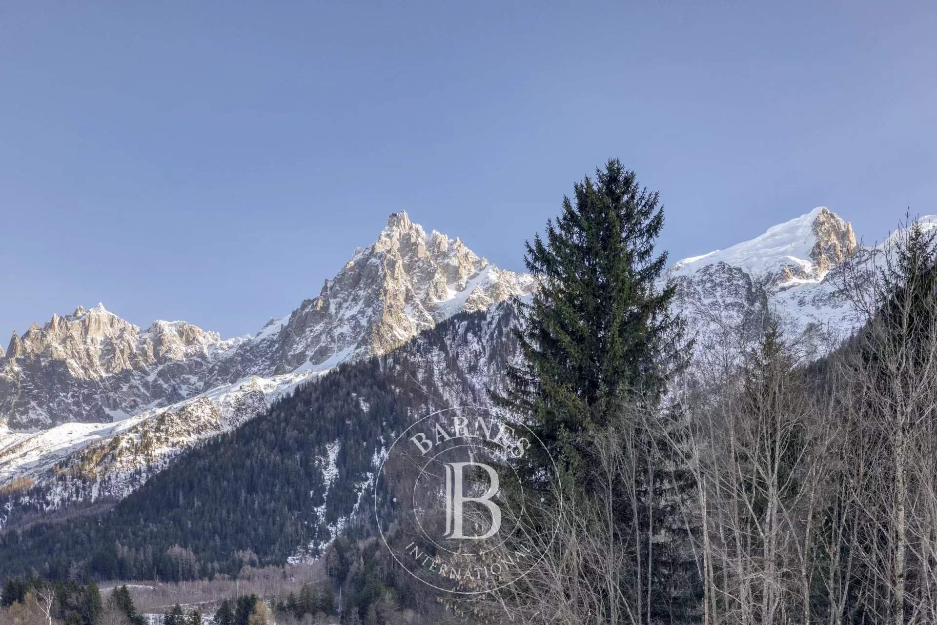 Les Houches  - Chalet 8 Pi&egrave;ces 5 Chambres - picture 13