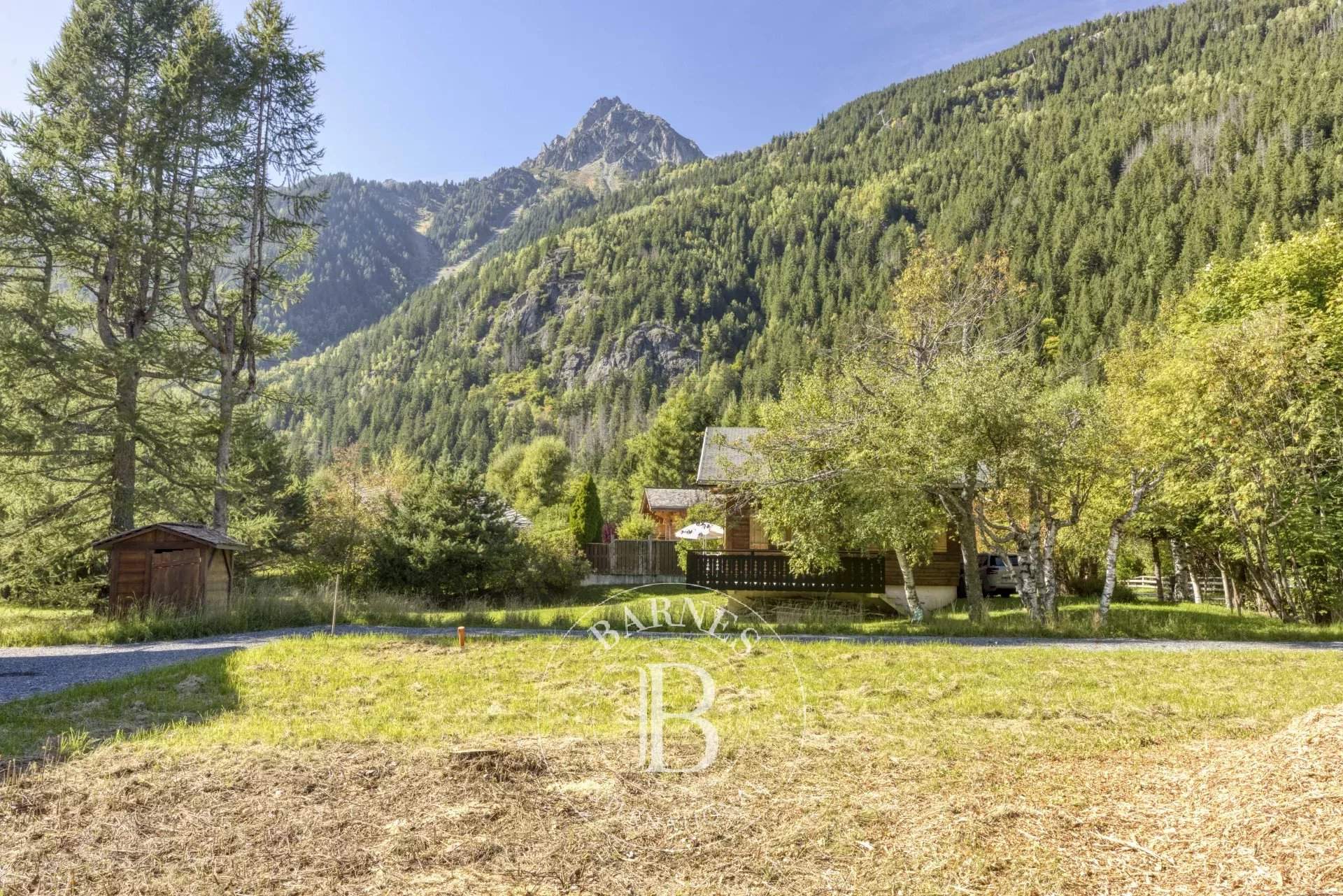 Chamonix-Mont-Blanc  - Chalet 5 Bedrooms - picture 14