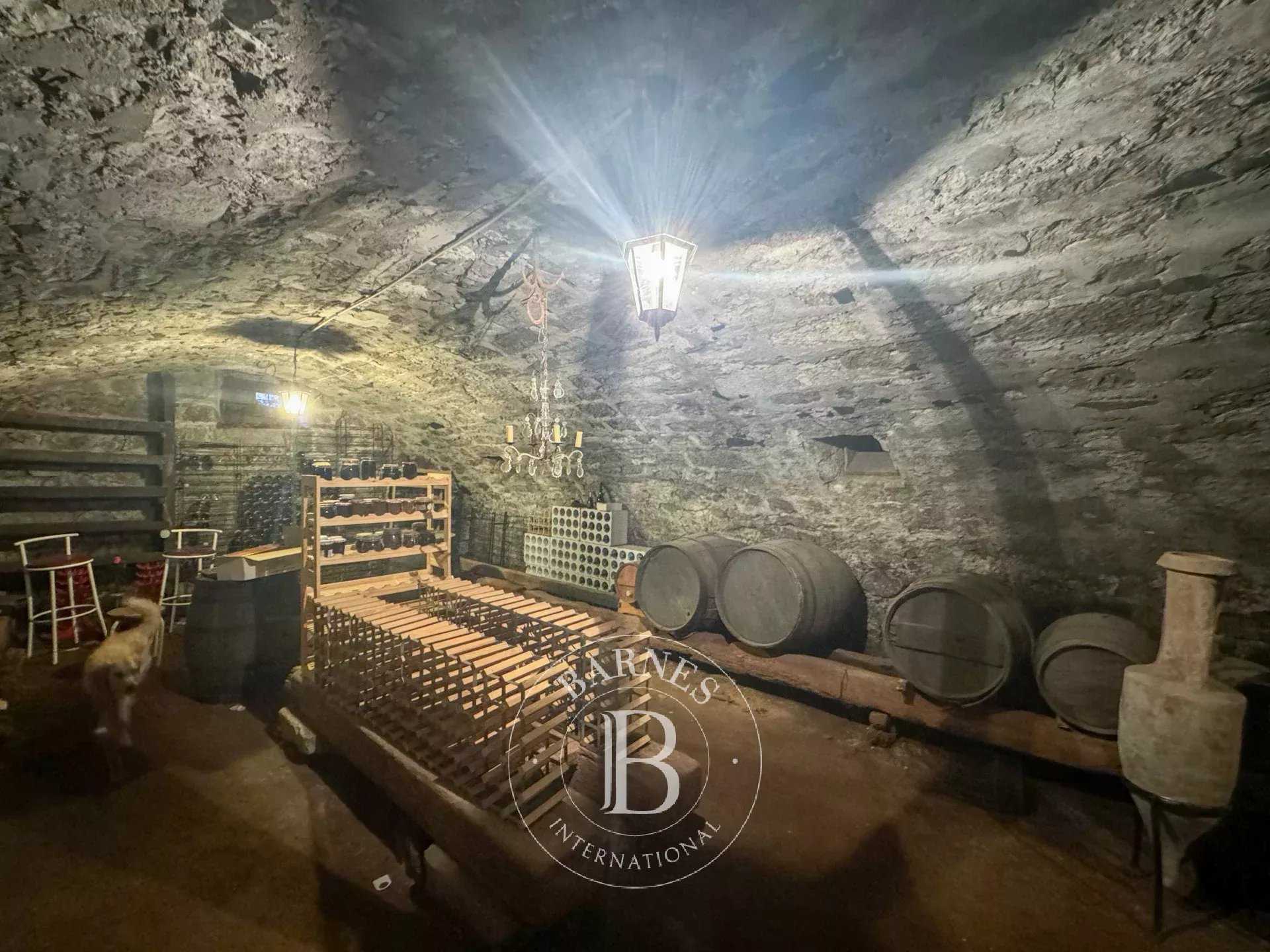 Chambéry  - Propriété 15 Pièces 9 Chambres