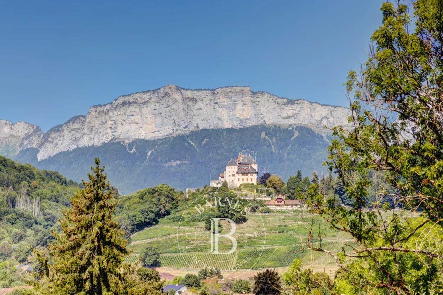 Menthon-Saint-Bernard  - House 6 Bedrooms