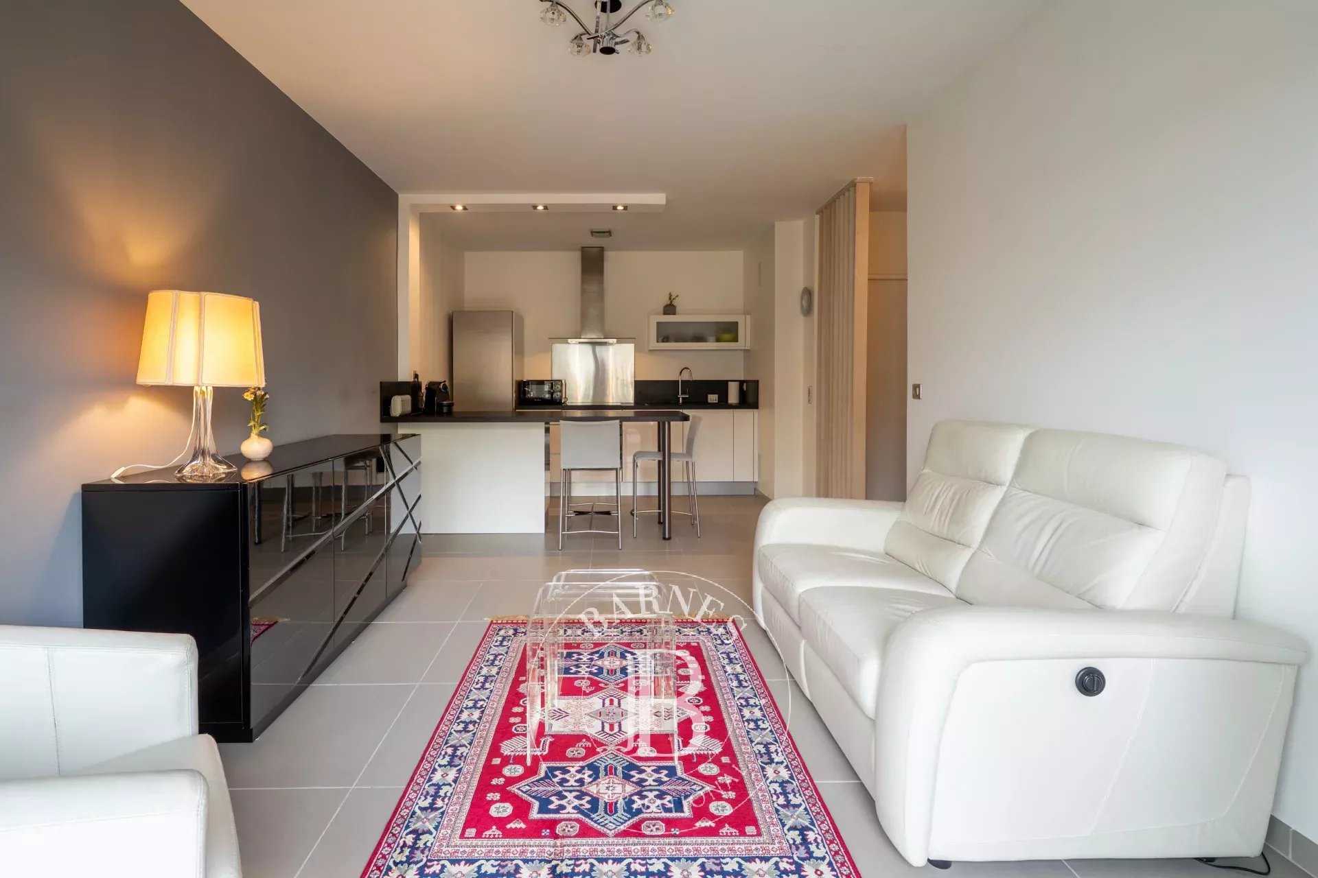 Annecy  - Appartement 2 Pi&egrave;ces, 1 Chambre