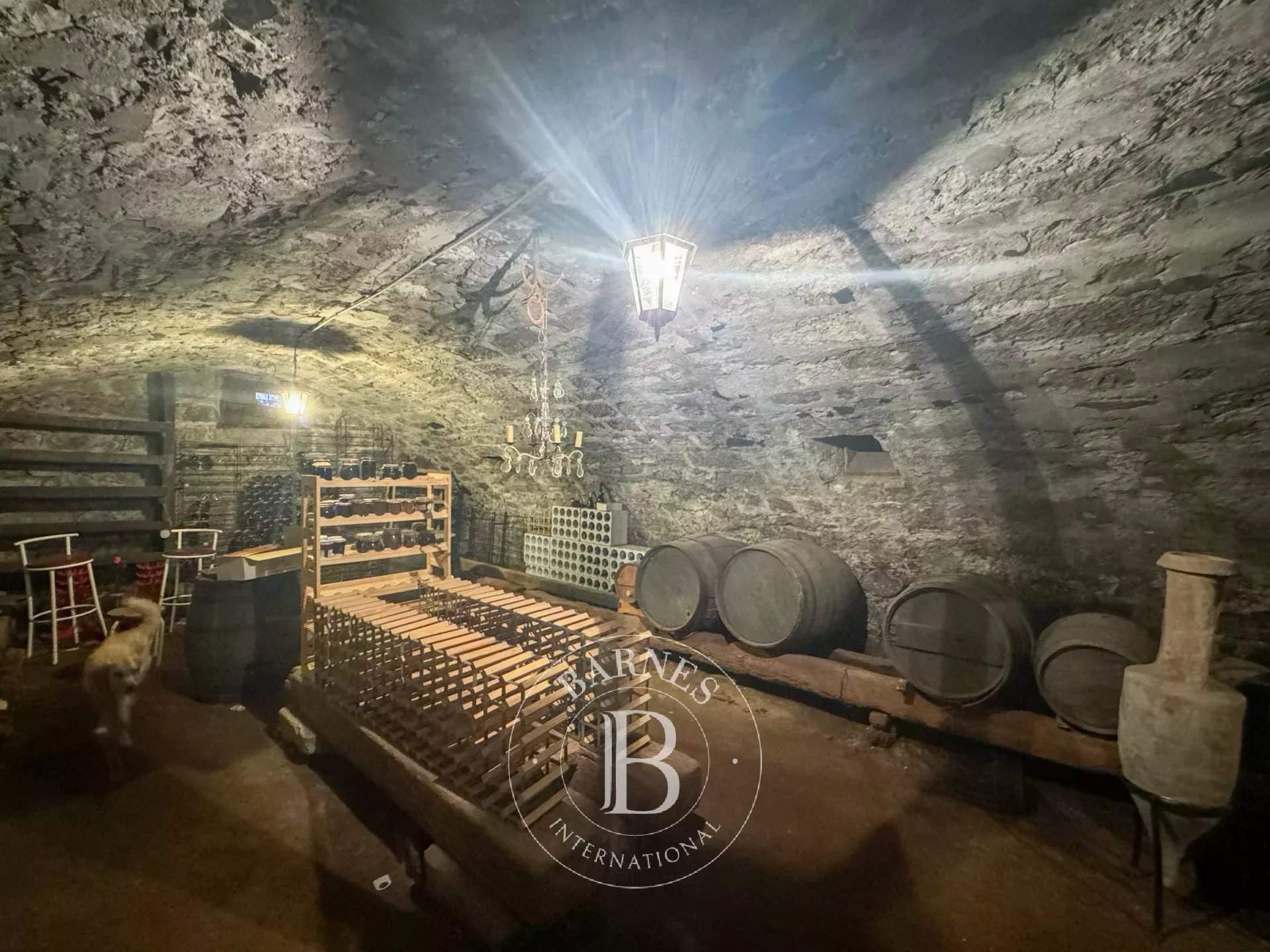 Chambéry  - Propriété 15 Pièces 9 Chambres - picture 4