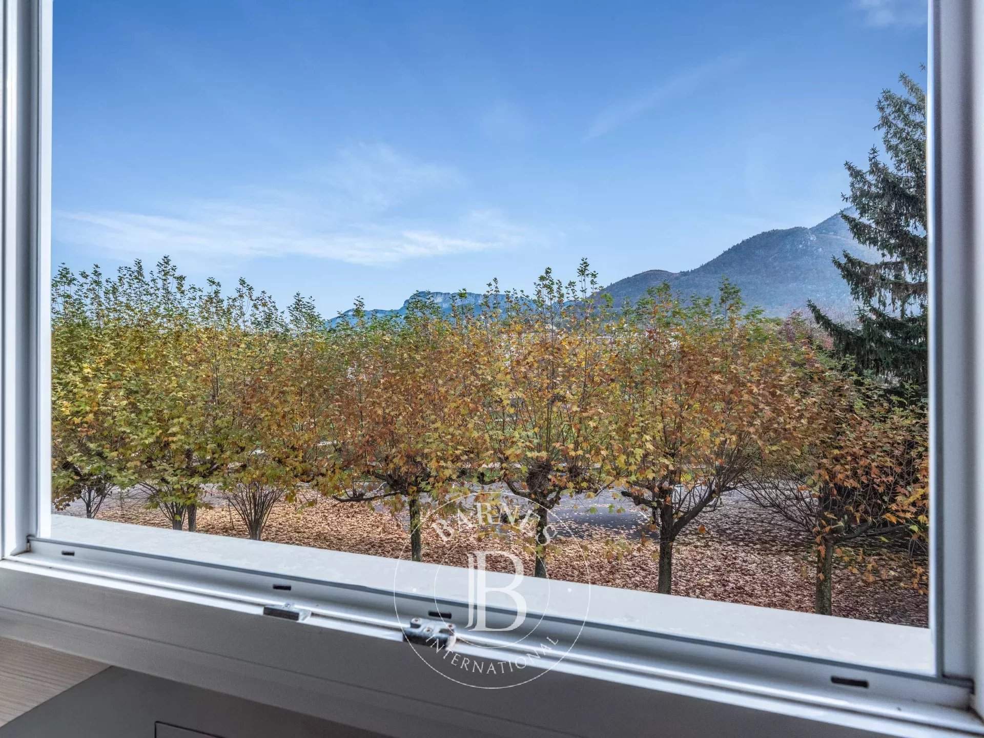 Annecy  - Apartment 2 Bedrooms - picture 2