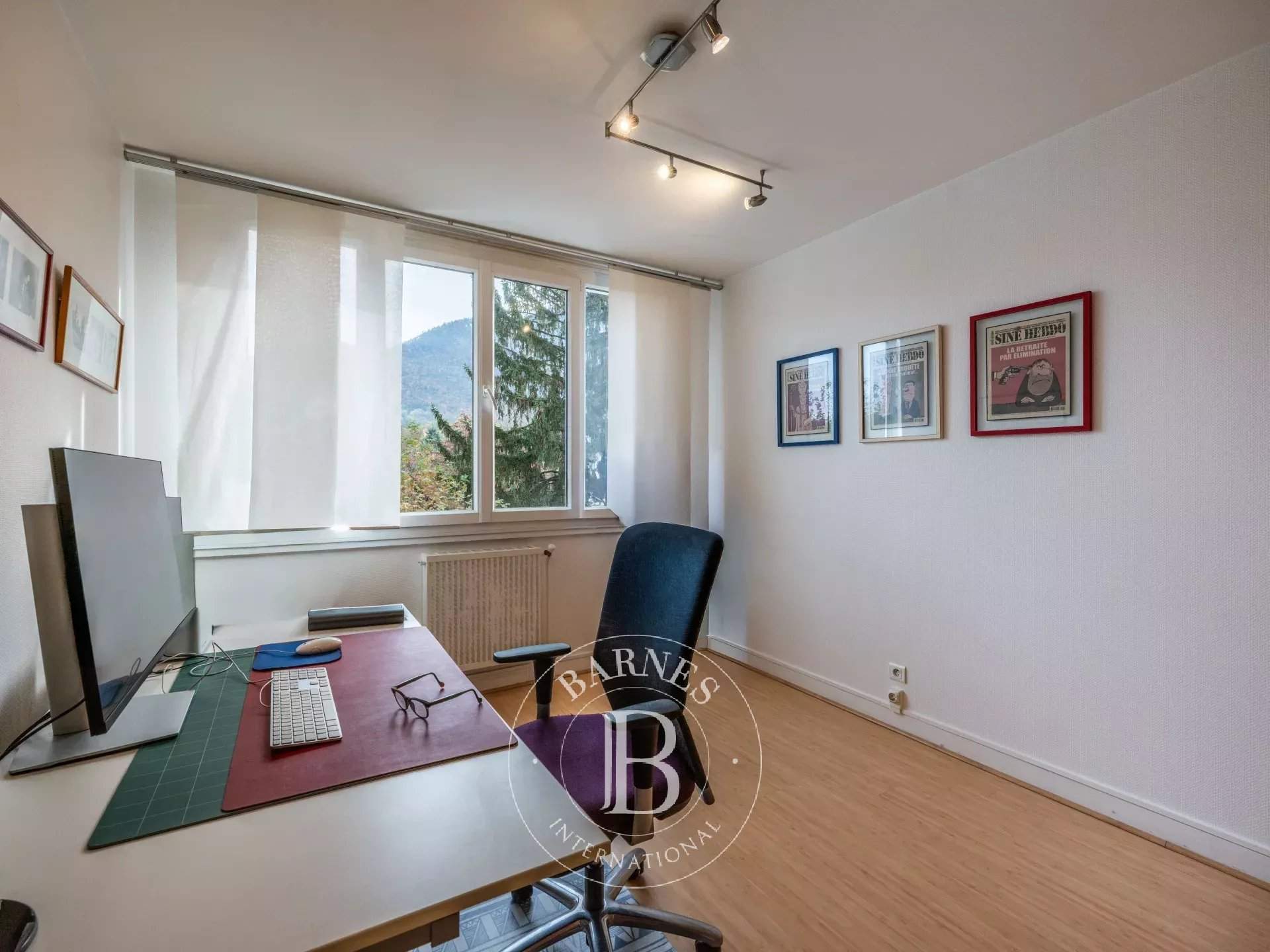 Annecy  - Apartment 2 Bedrooms - picture 8