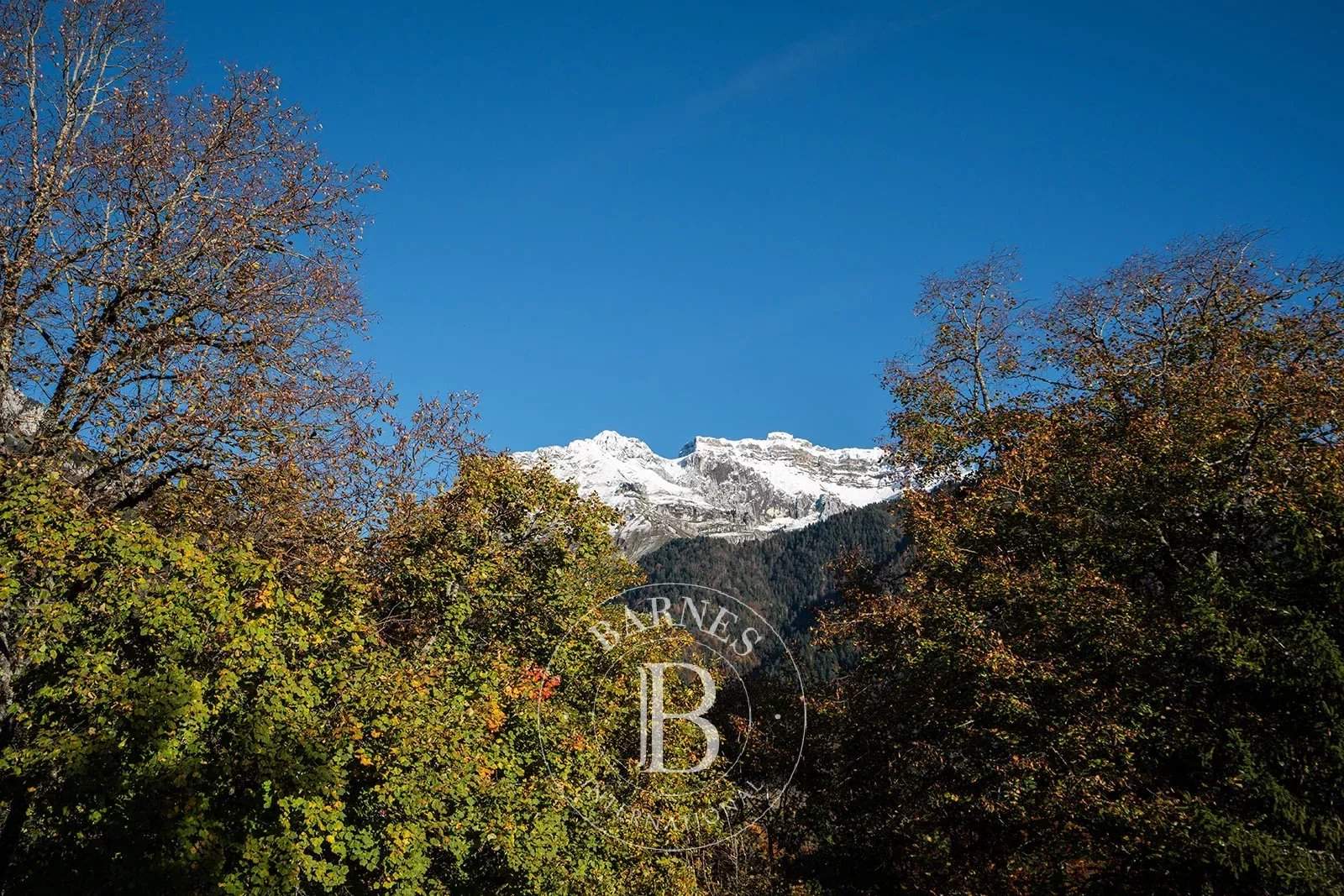 Talloires-Montmin  - House 6 Bedrooms - picture 7