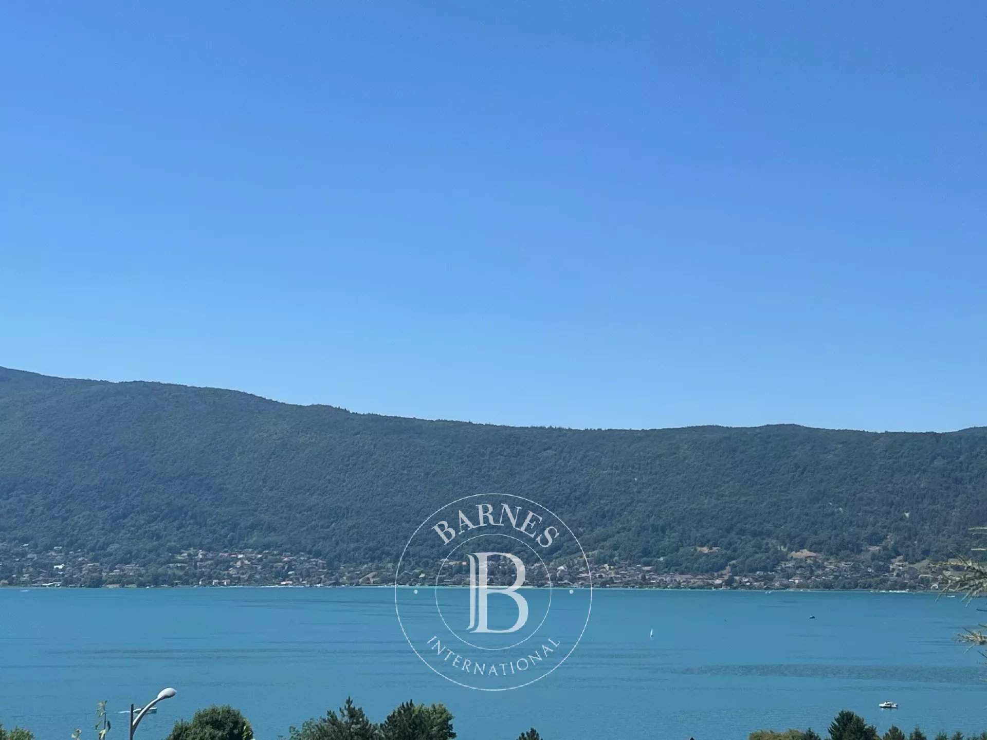 Veyrier-du-Lac  - House 5 Bedrooms - picture 3