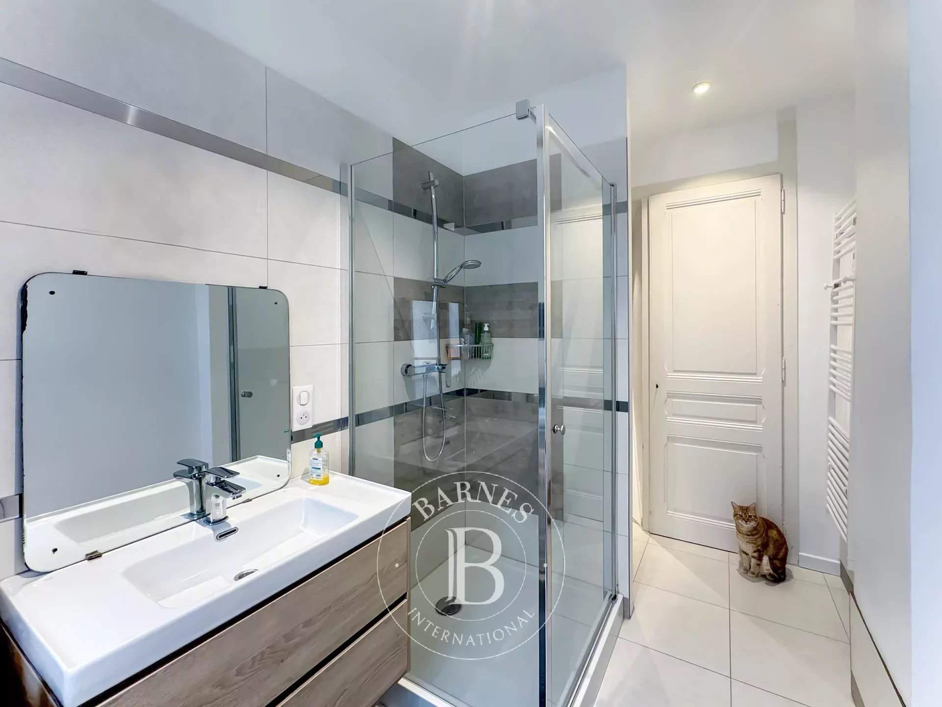 Aix-les-Bains  - Apartment 3 Bedrooms - picture 9