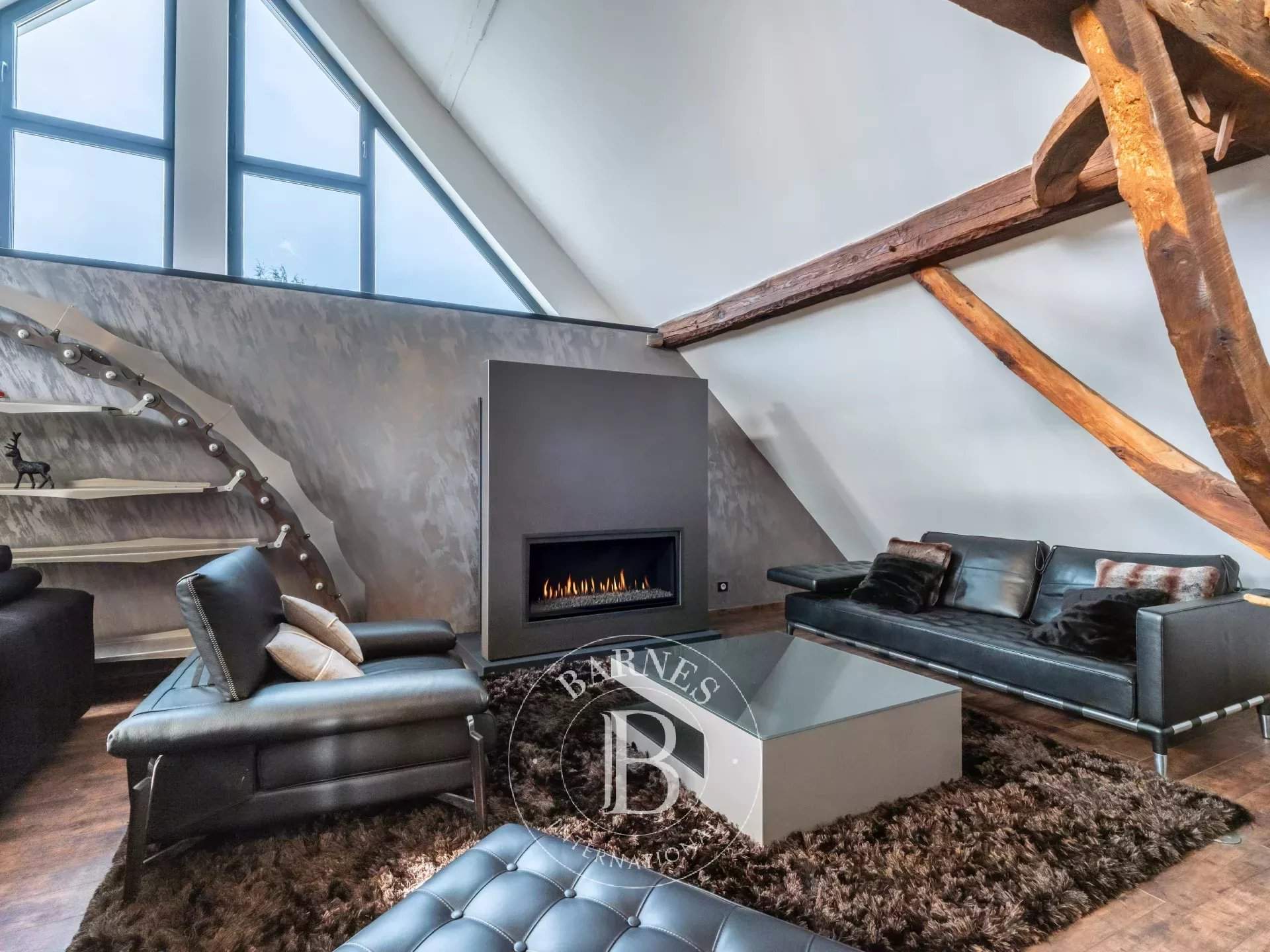 Annecy  - Loft 4 Bedrooms - picture 6