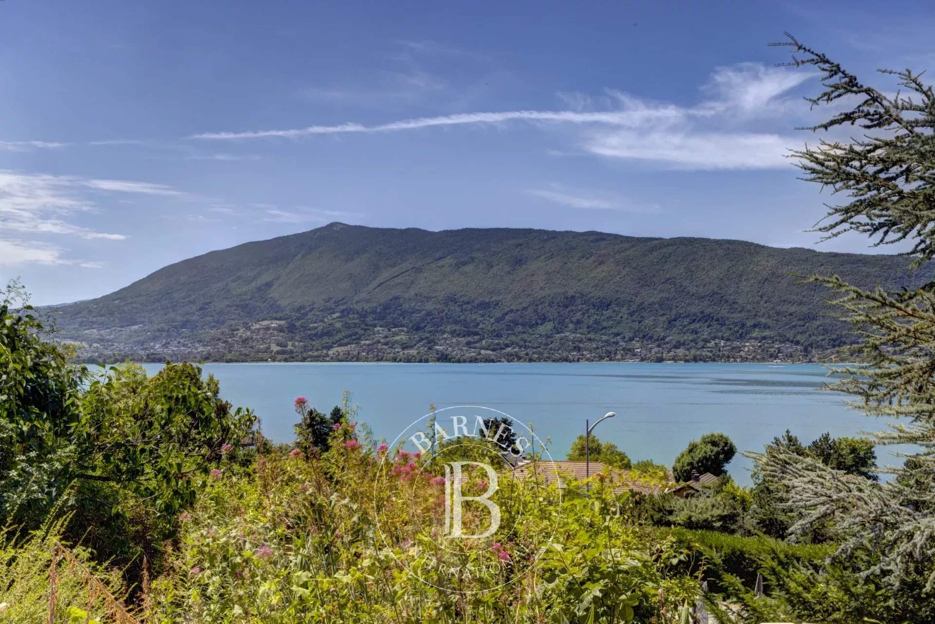 Veyrier-du-Lac  - House 5 Bedrooms - picture 4