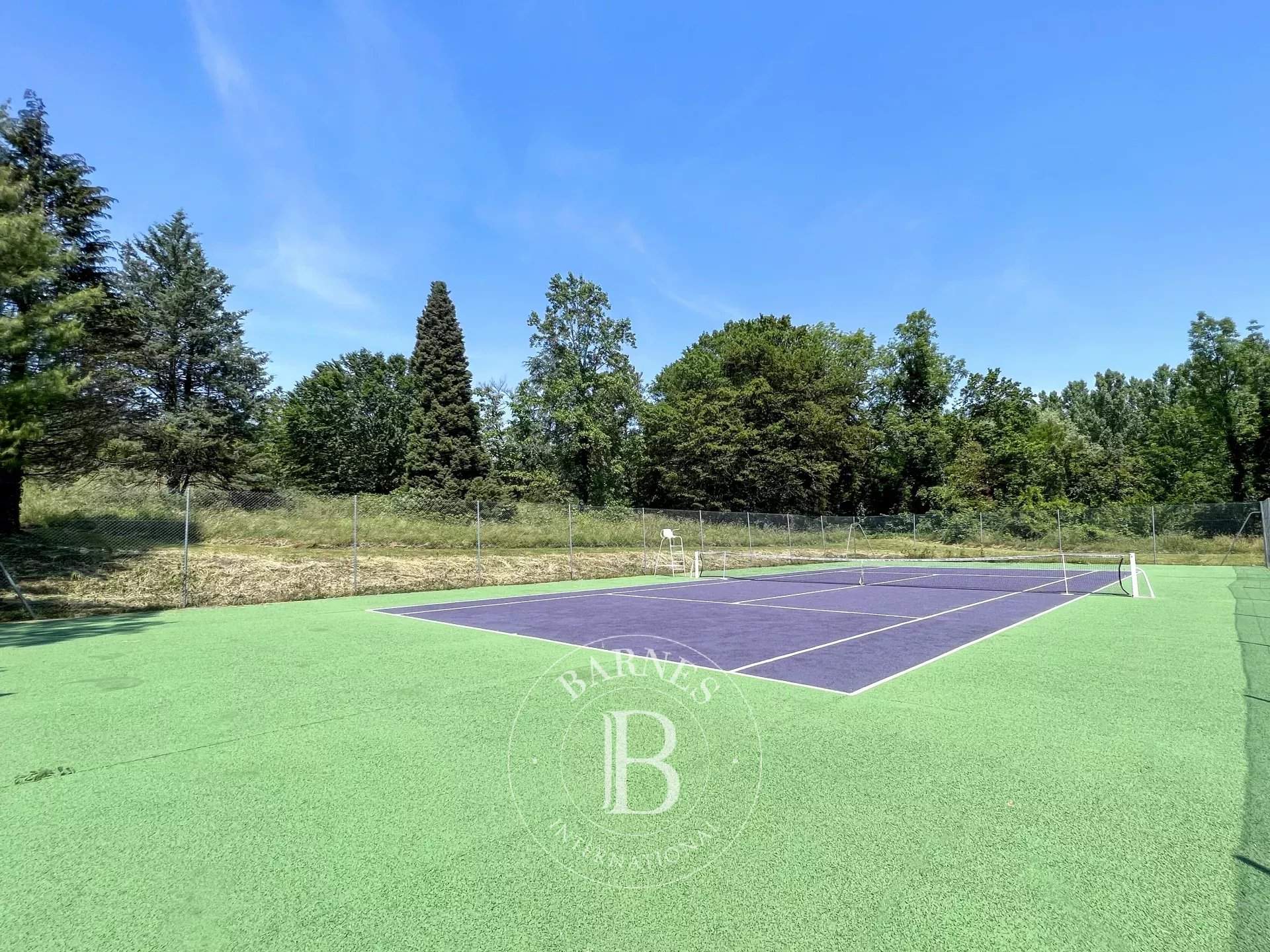 Aix-les-Bains  - Manor house 8 Bedrooms - picture 16