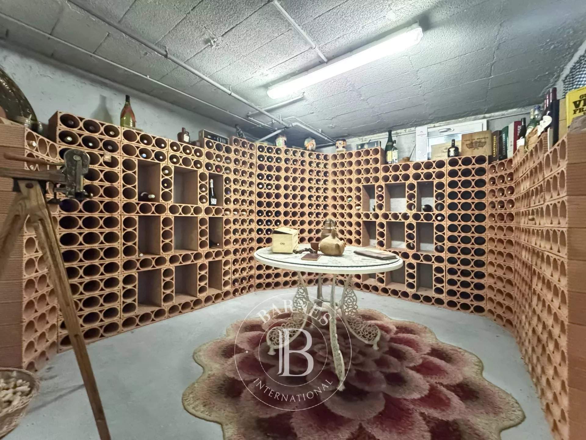 Chambéry  - Maison 9 Pi&egrave;ces 4 Chambres - picture 6