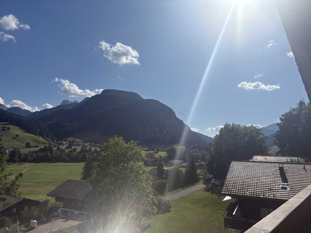 Apartment Saanen
