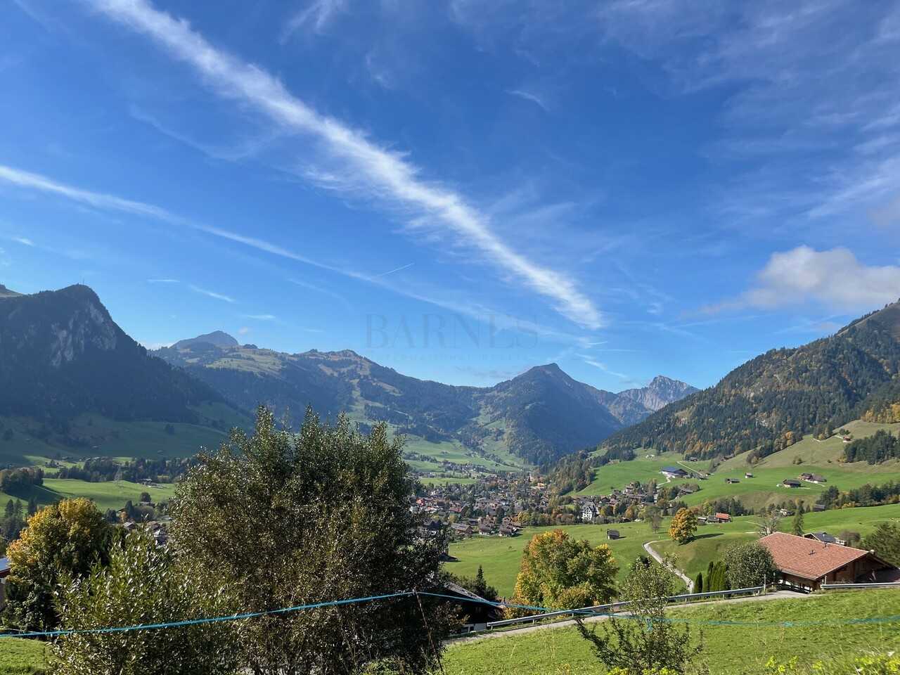 Chalet Château-d'Oex  -  ref B-62A (picture 2)