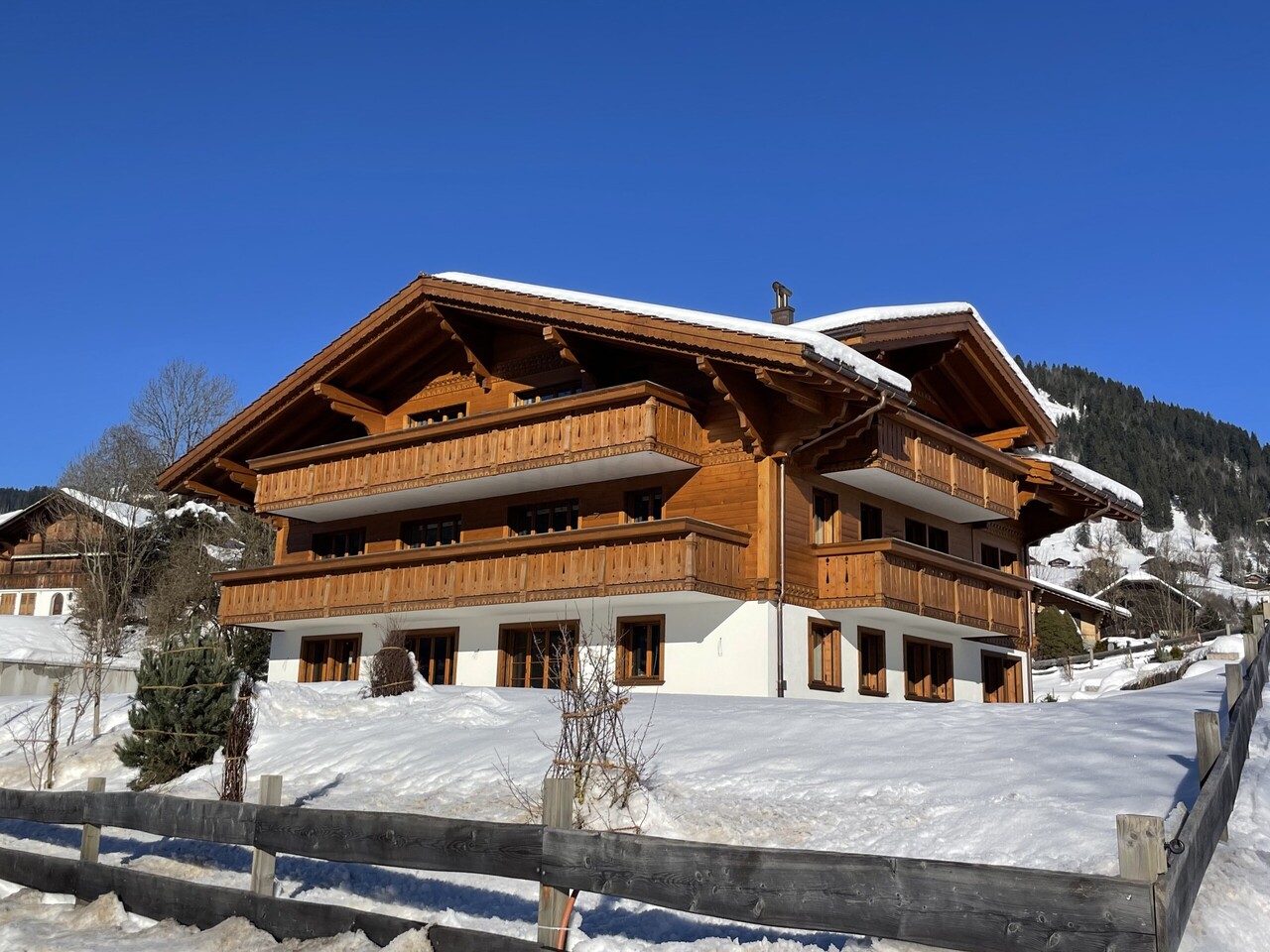 Saanen  - Apartment 3 Bedrooms - picture 1