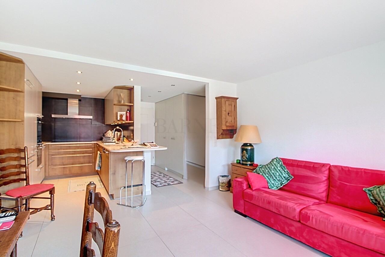 Gstaad  - Piso 2.5 Cuartos, 1 Habitacion - picture 1