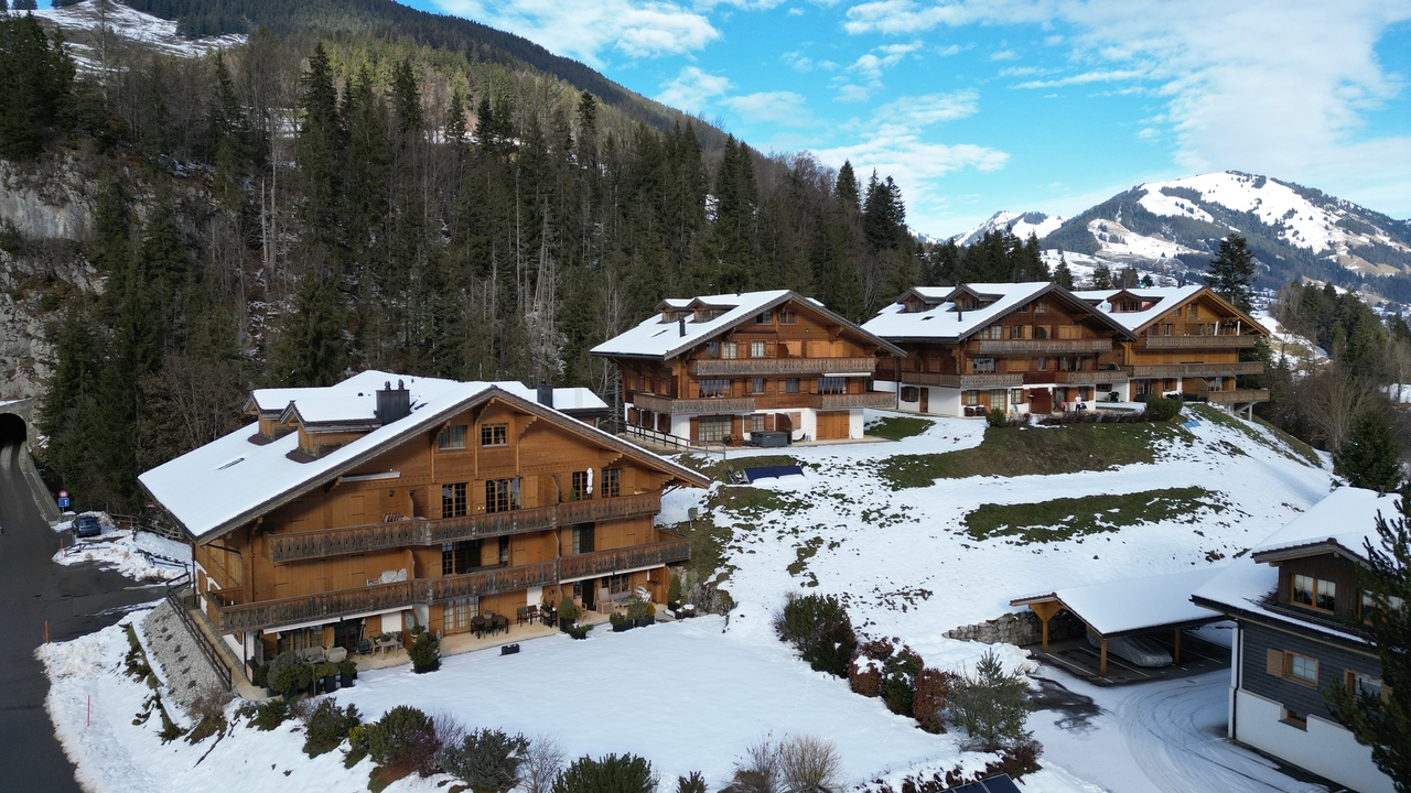 Château-d'Oex  - Appartement 5.5 Pi&egrave;ces 3 Chambres - picture 12