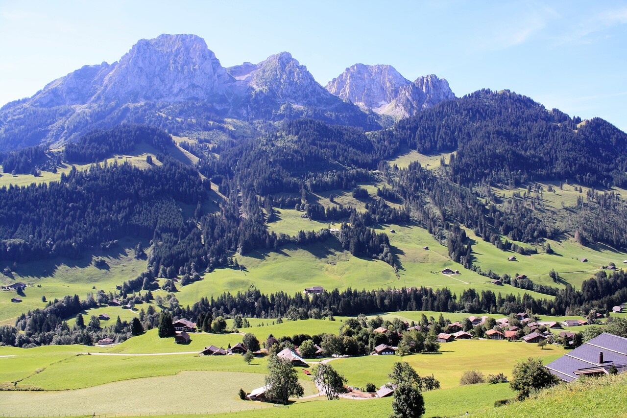 Rougemont  - Chalet 3 Bedrooms - picture 12