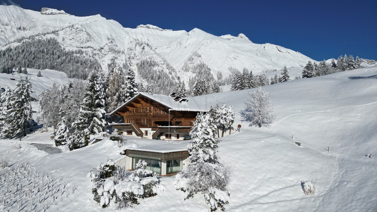 Château-d'Oex  - Chalet 5 Bedrooms - picture 1