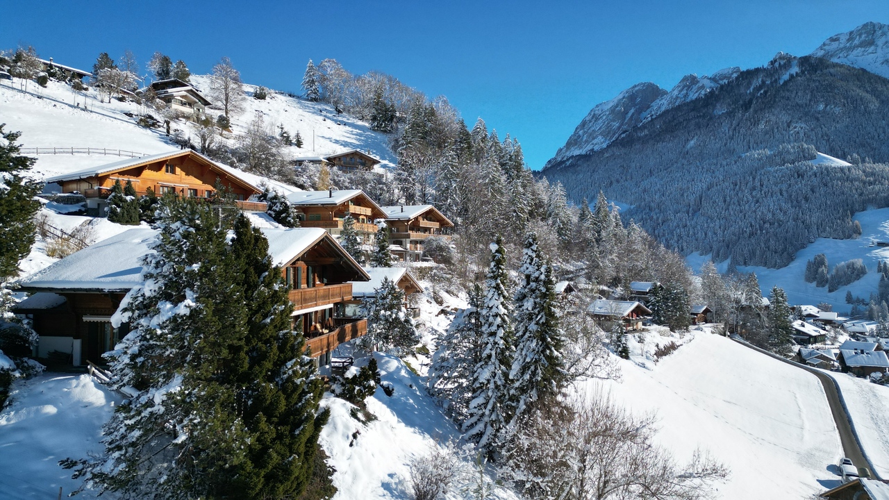 Château-d'Oex  - Chalet 6 Bedrooms - picture 1