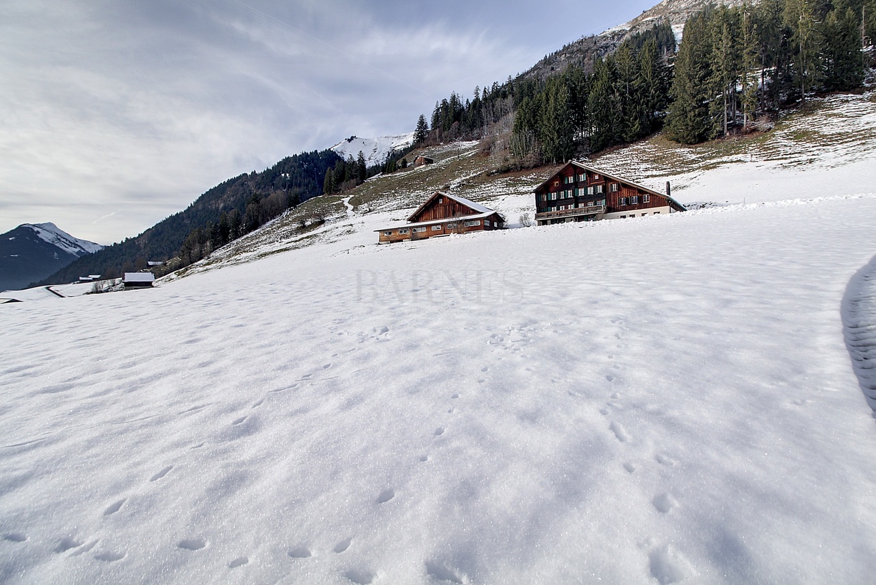 Château-d'Oex  - Chalet 4 Bedrooms - picture 1