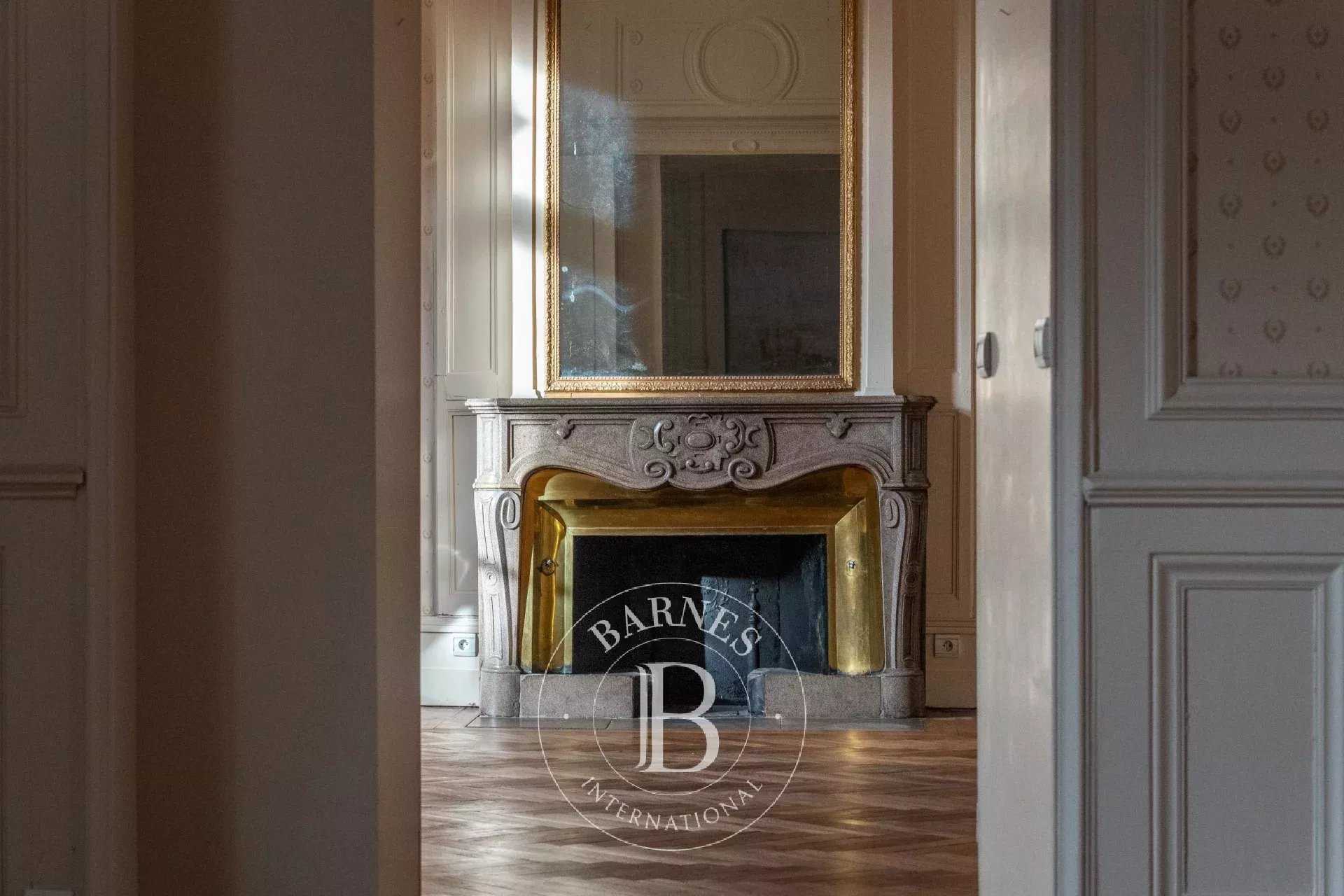 Rochetaillée-sur-Saône  - Apartment 4 Bedrooms