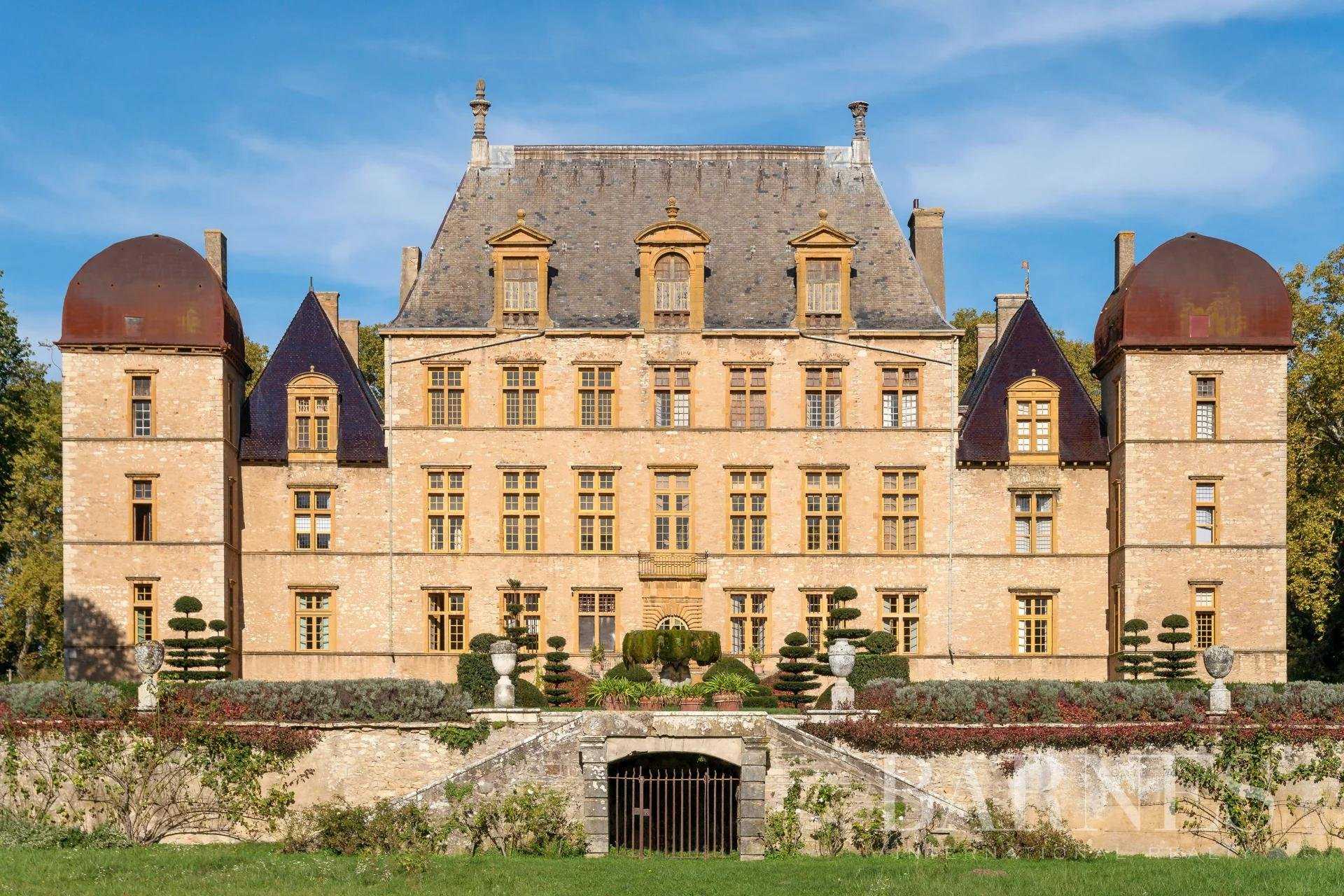Fareins  - Château 30 Pièces 8 Chambres