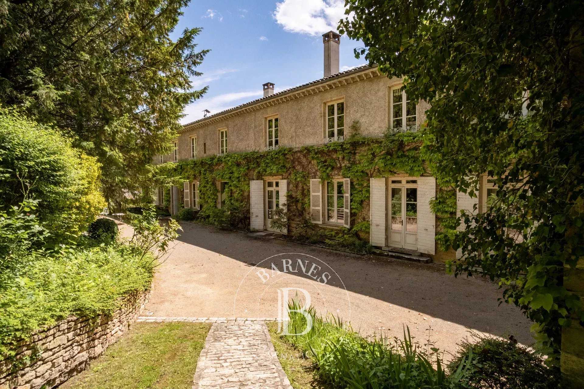 Montmerle-sur-Saône  - Castle 7 Bedrooms