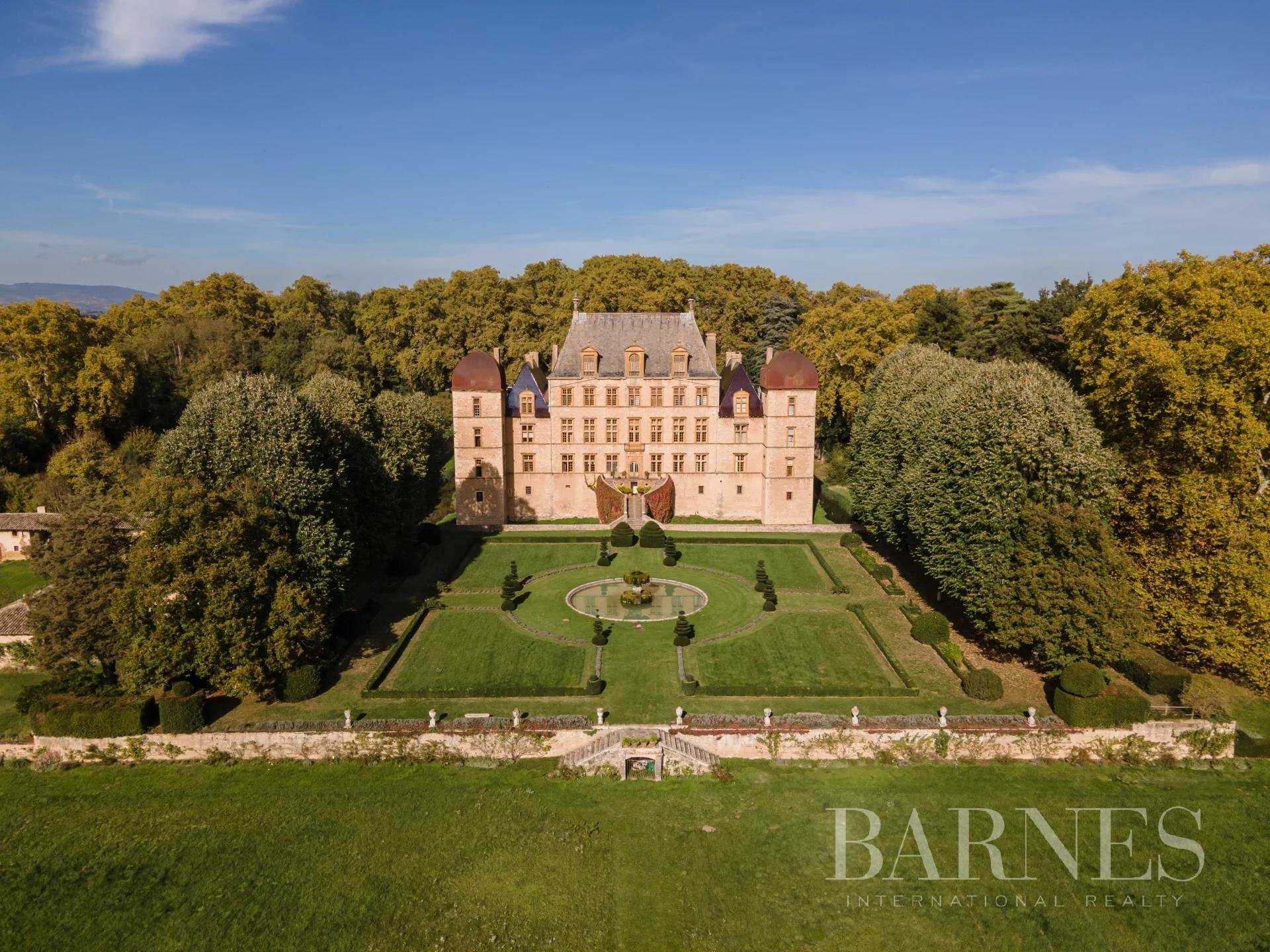 Fareins  - Château 30 Pièces 8 Chambres
