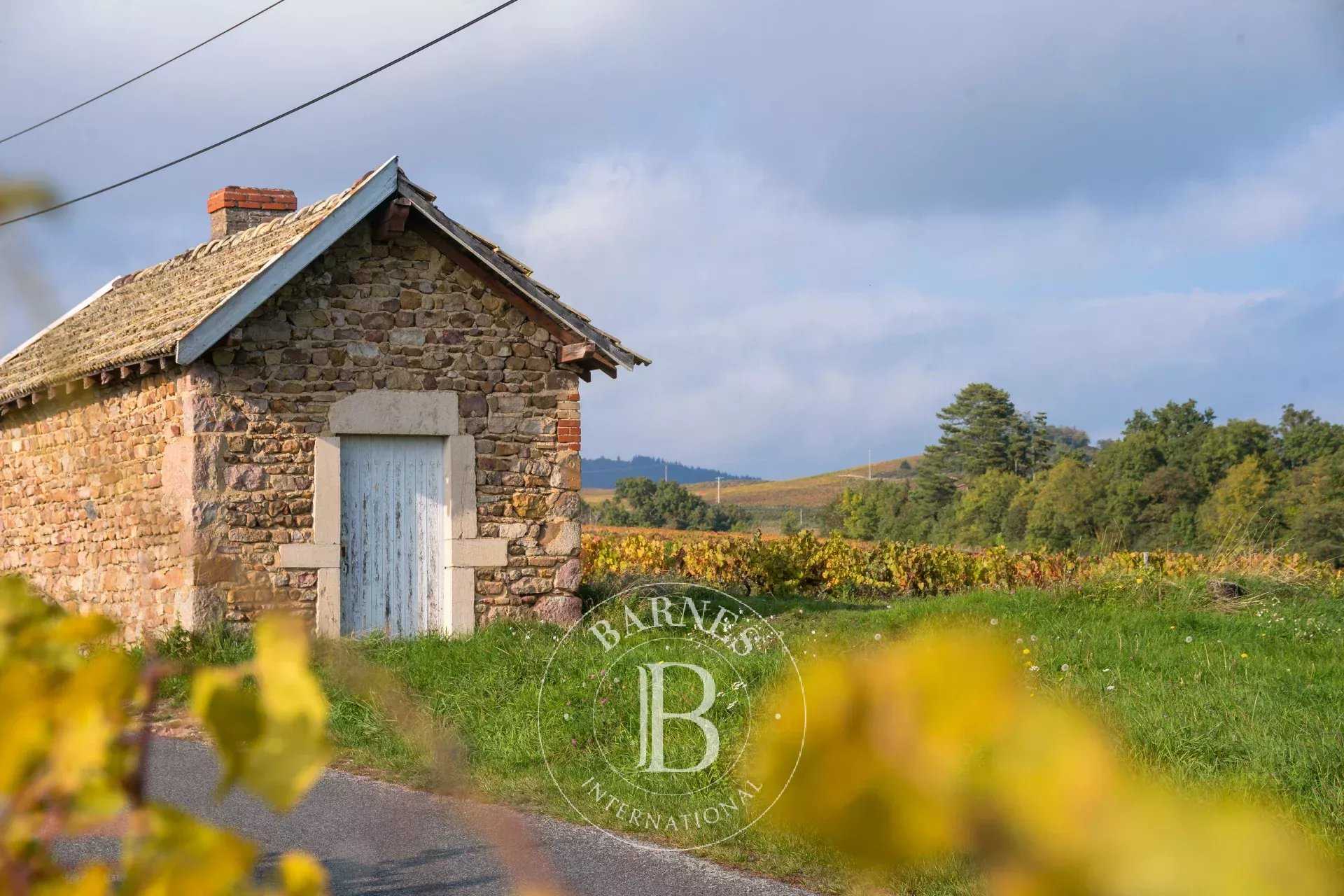 Villié-Morgon  - Casa 6 Cuartos