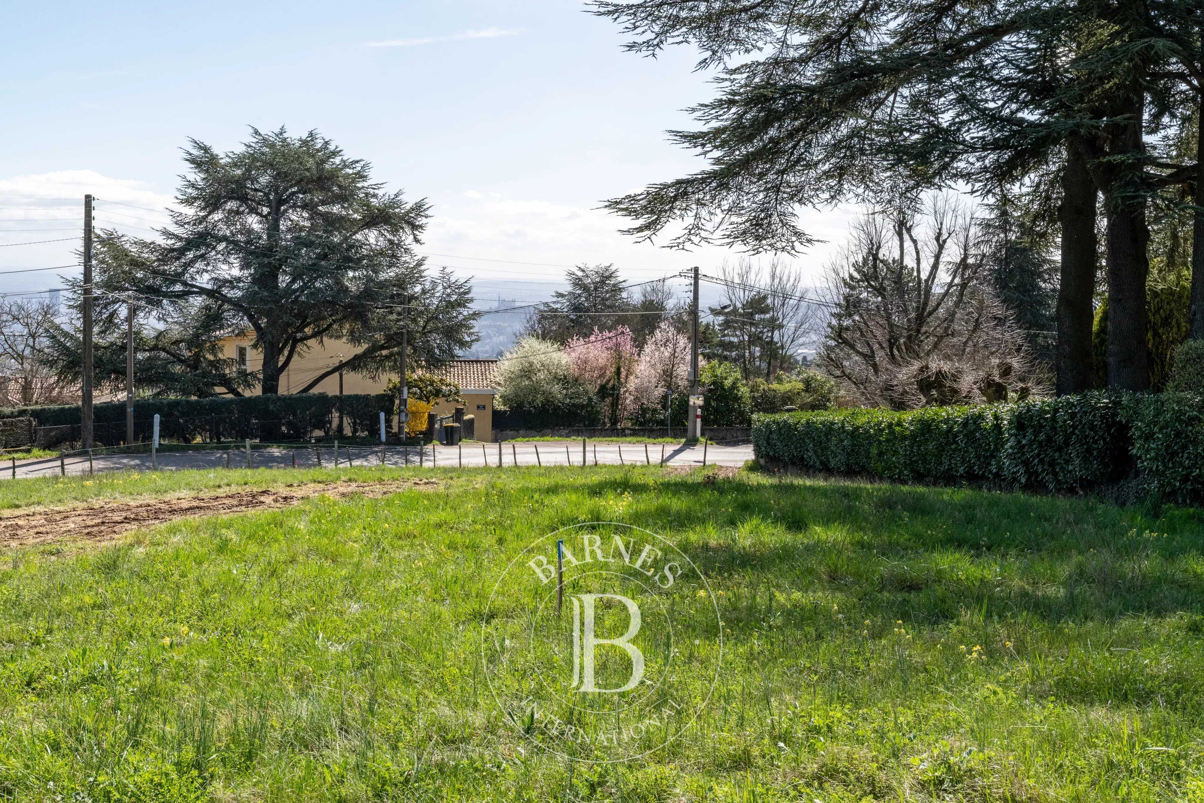 Saint-Didier-au-Mont-d'Or  - Terrain constructible 